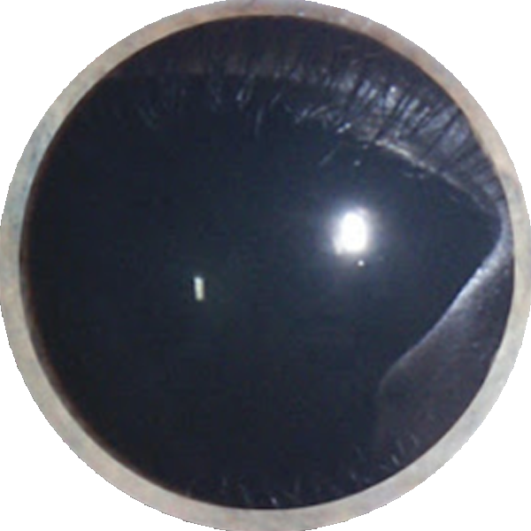 Binary Drool Eye.png