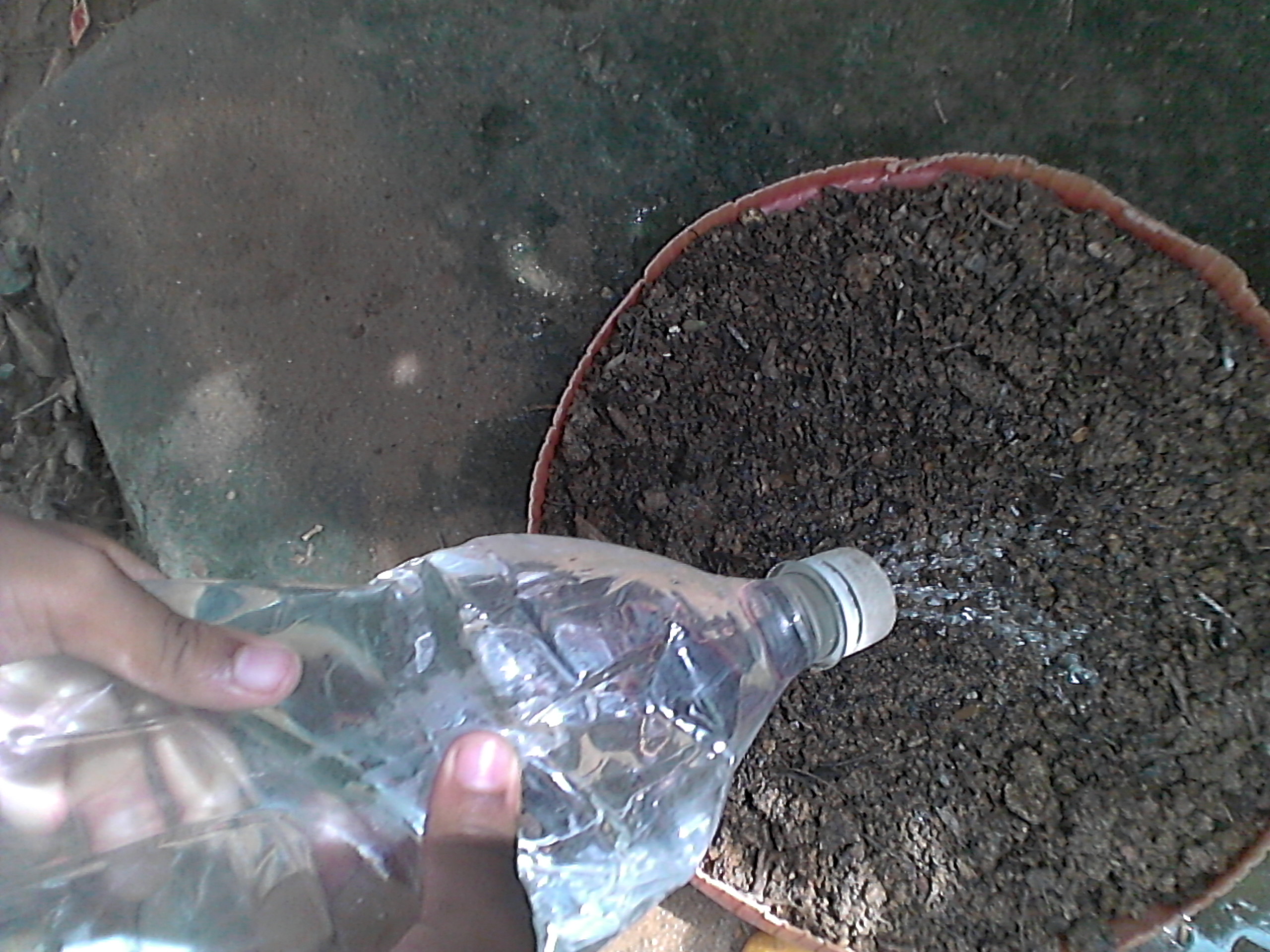 IMG_20201006_100852.jpg
