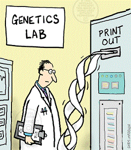 pic.gif