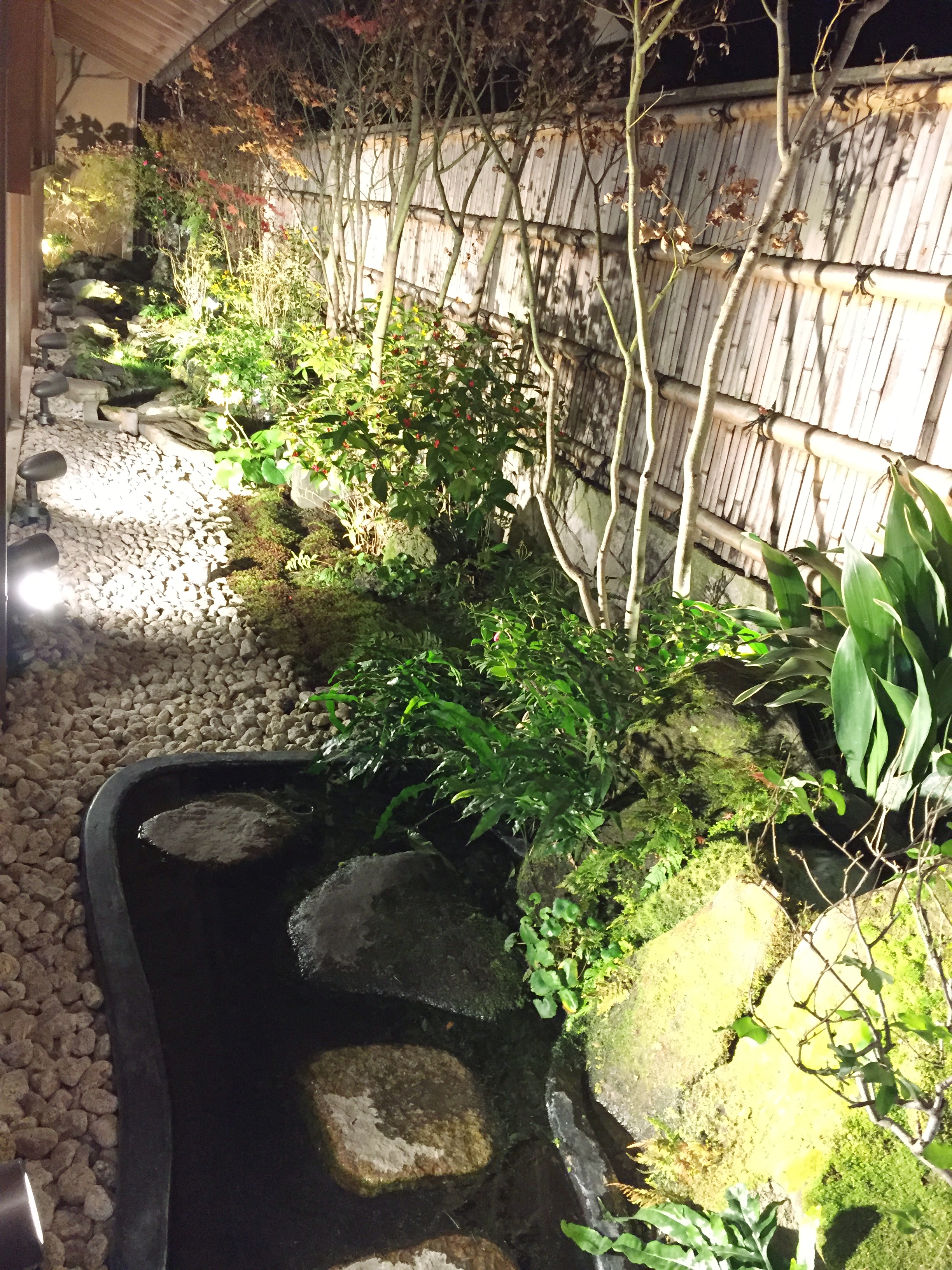 20181022_130039.jpg