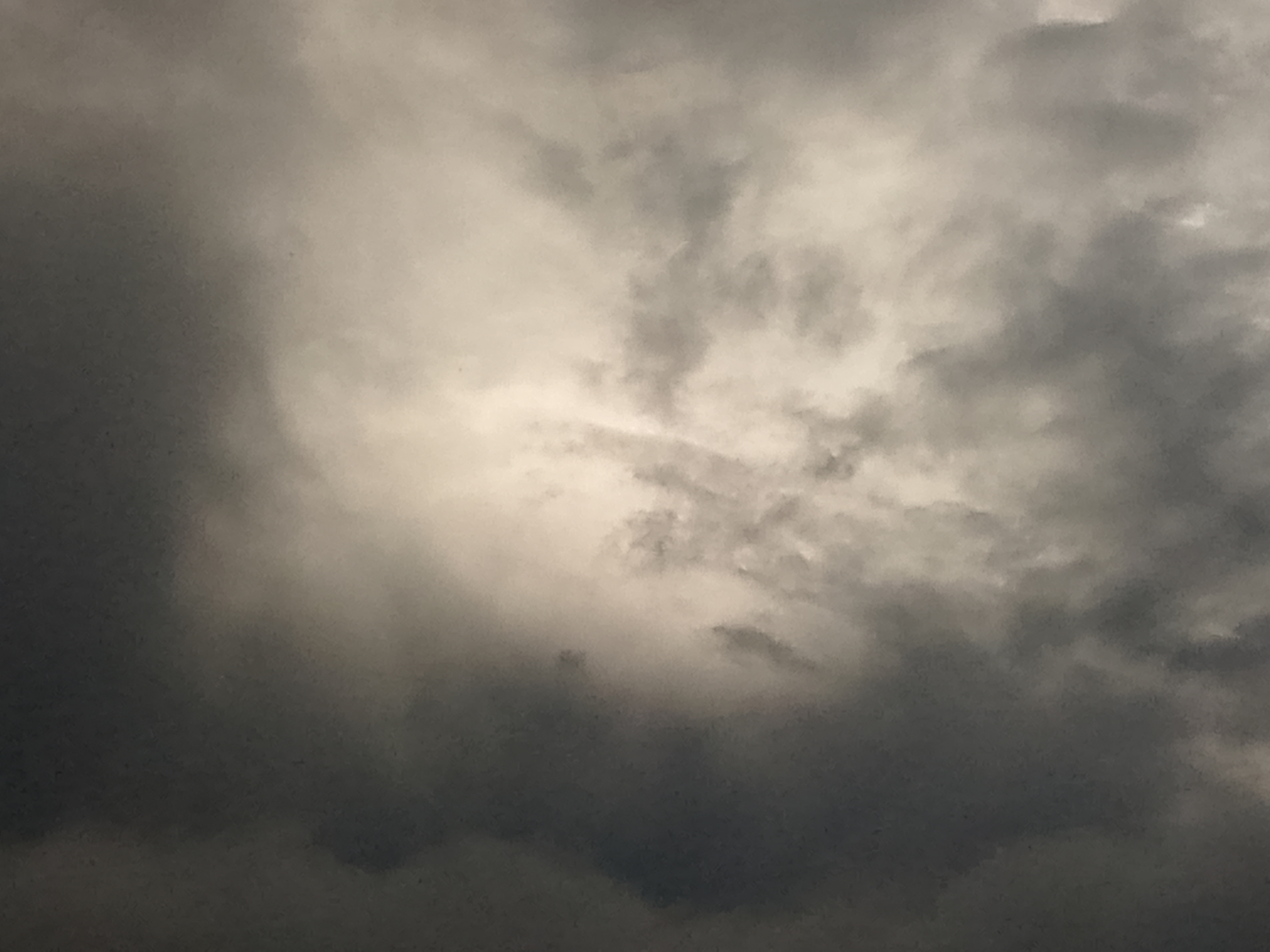 FotoGrid_20260608_141615528.jpg