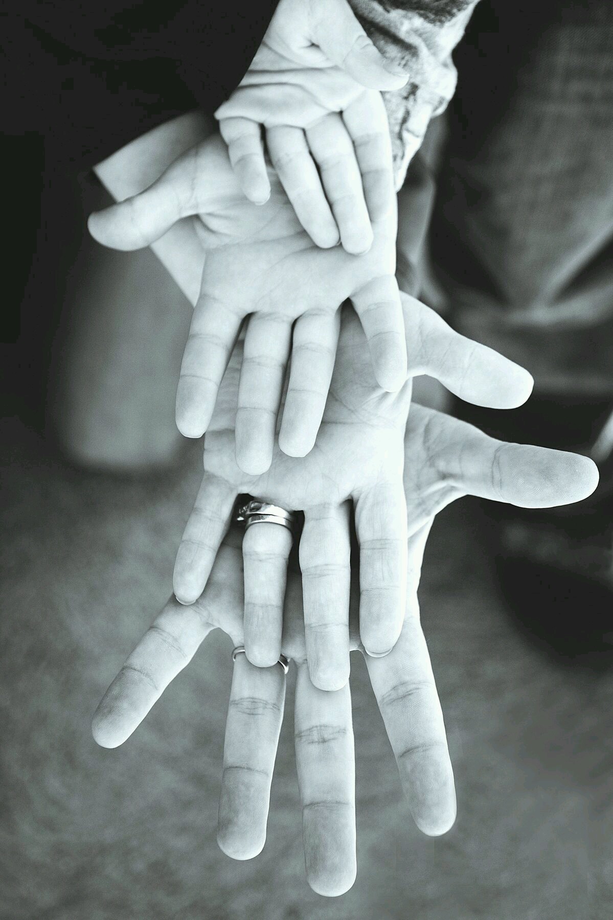 3fe2ee03849bff7bf031ea7e84f5bdc8.jpg