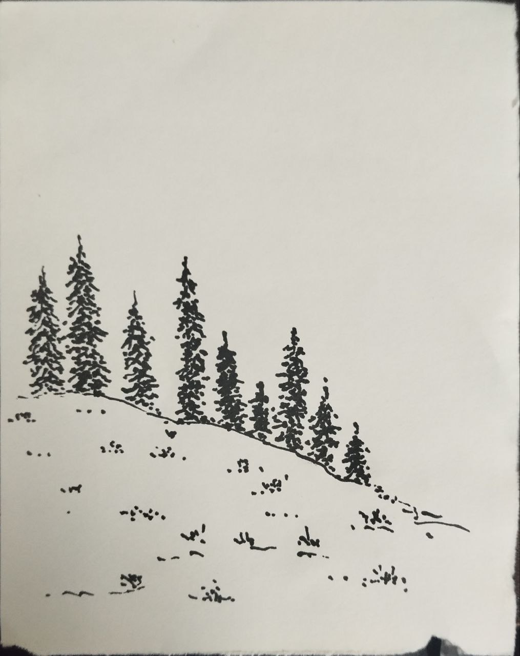 img01.jpg