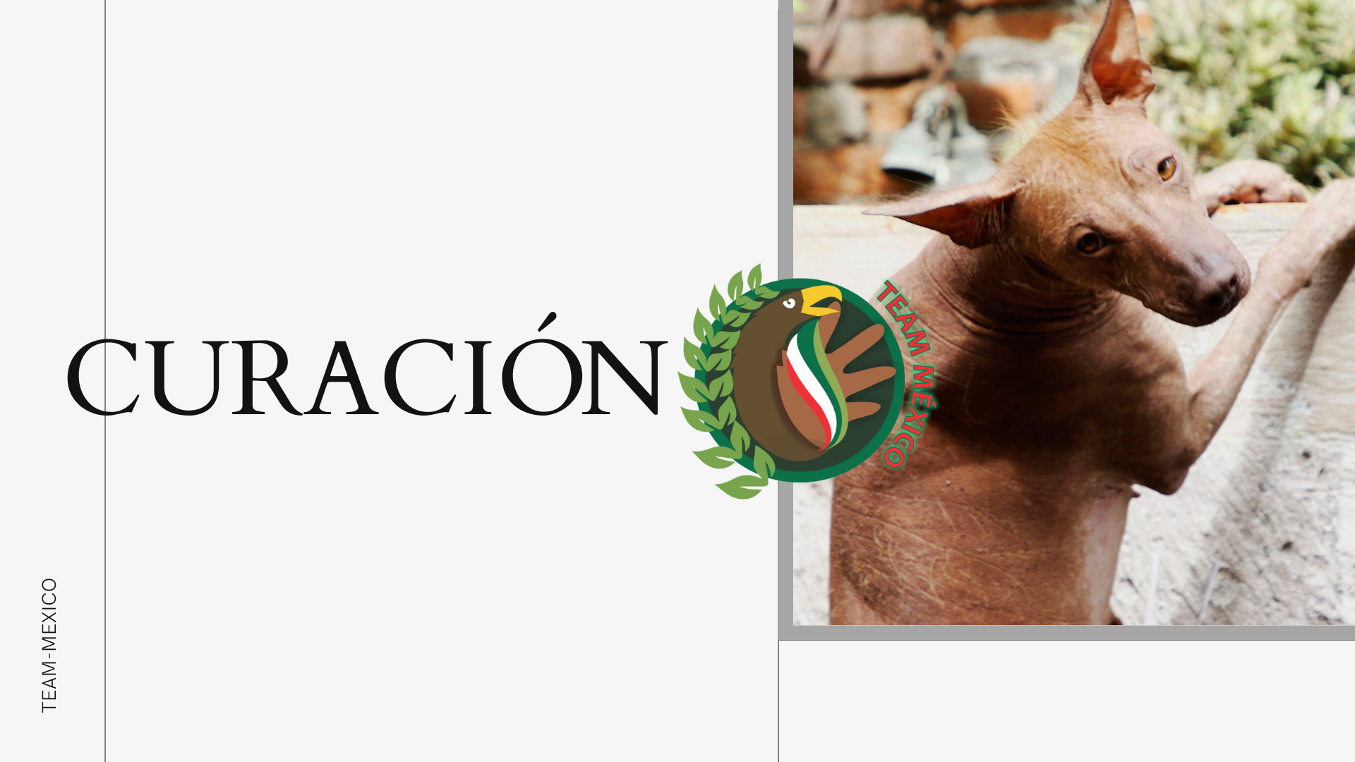 Cover (1).png