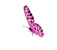 856378_b6e78.gif