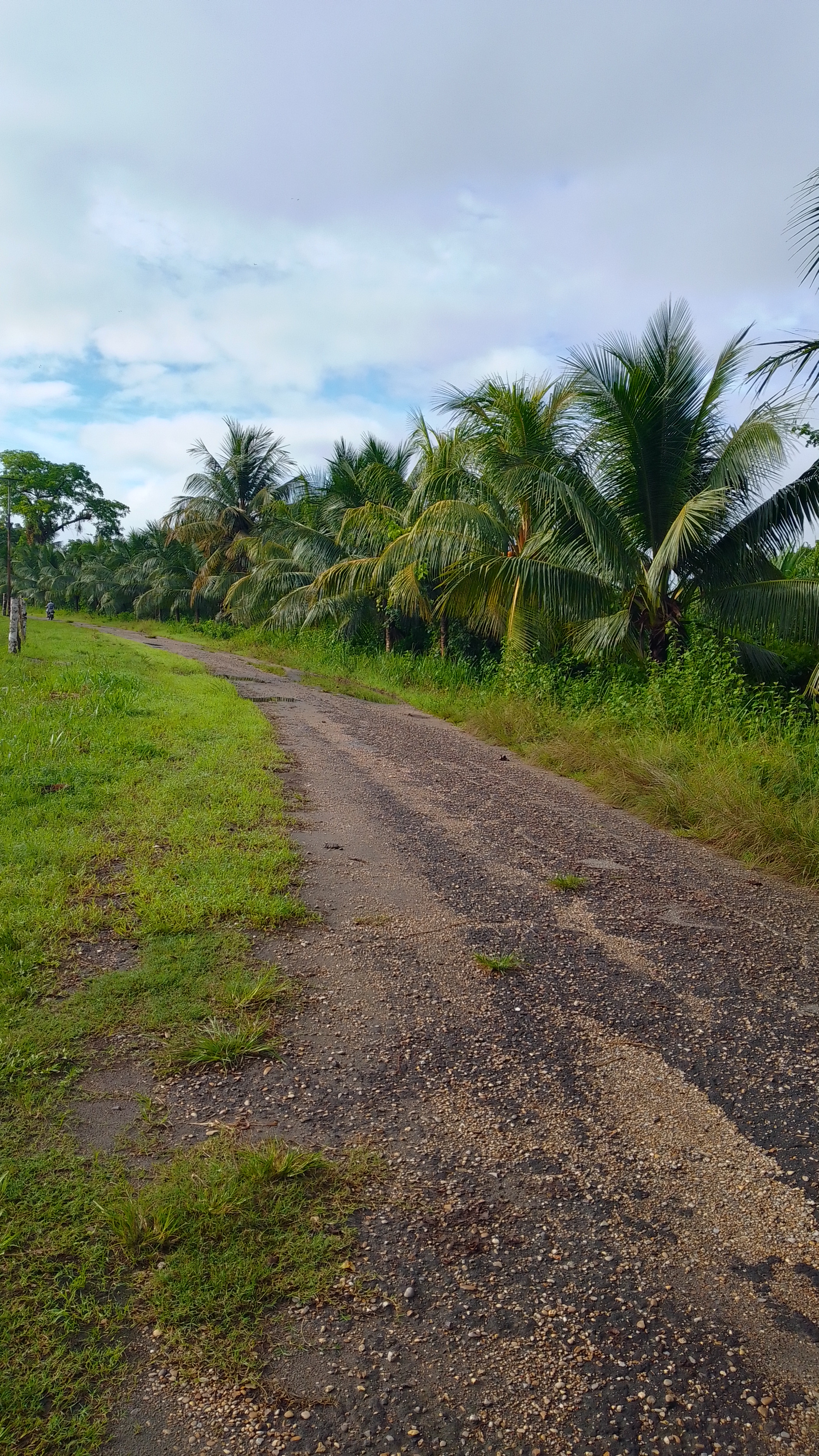 IMG_20220706_073538_HDR.jpg