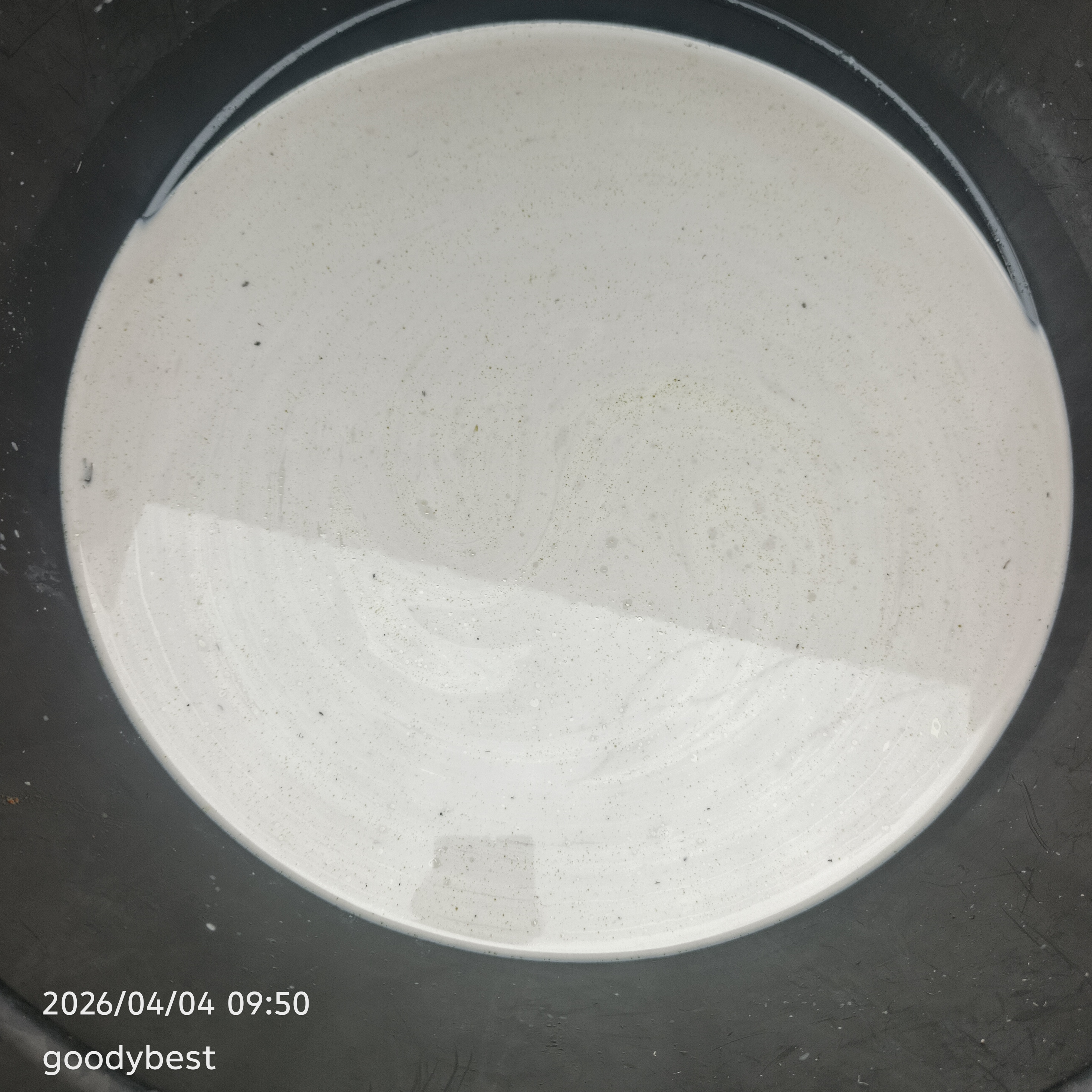 1000300286.jpg