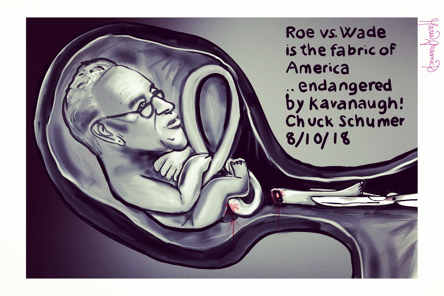 Chuck Charles Schumer Political Cartoon Roe Vs Wade Steemit