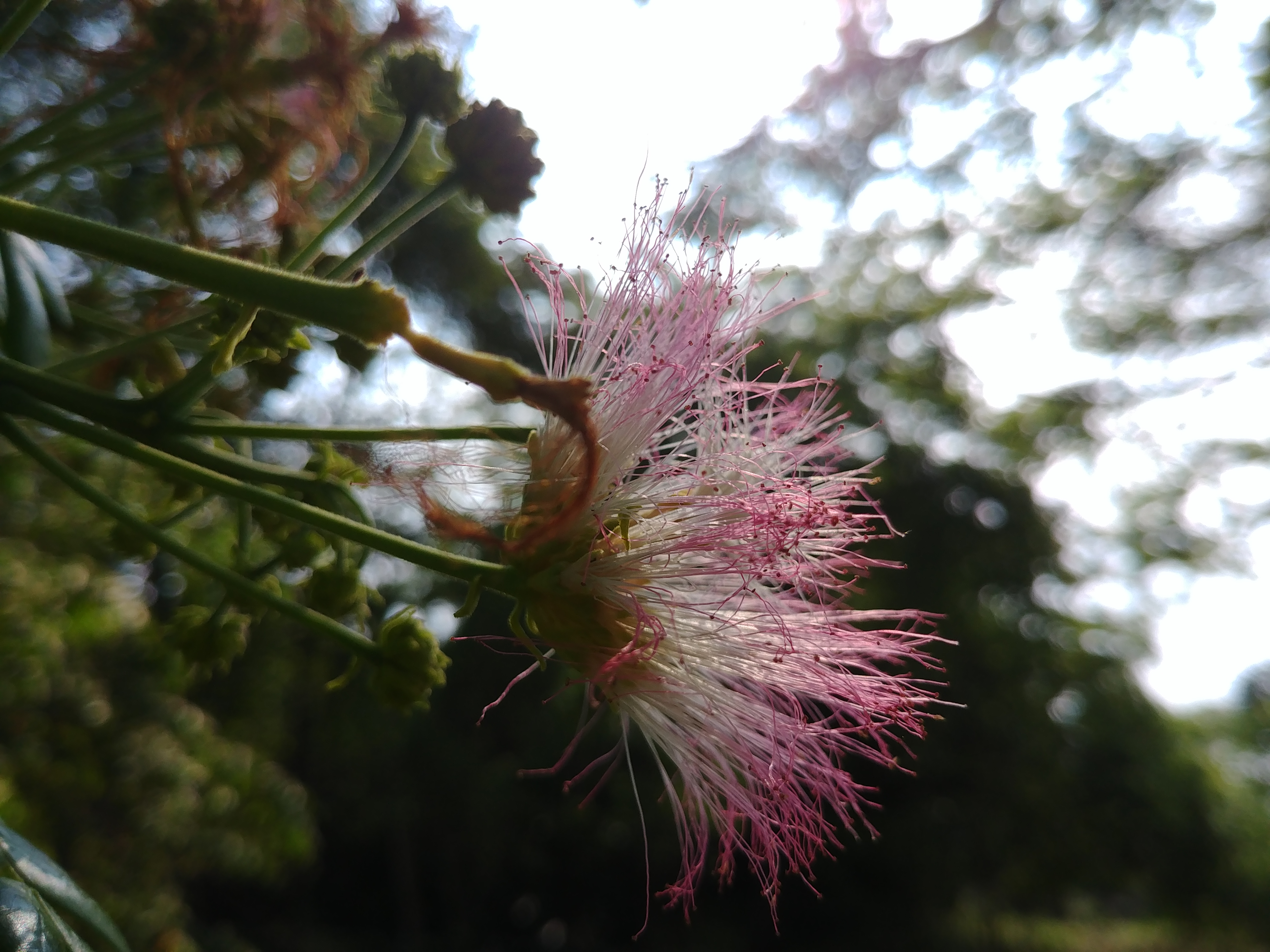 20180327_094445.jpg