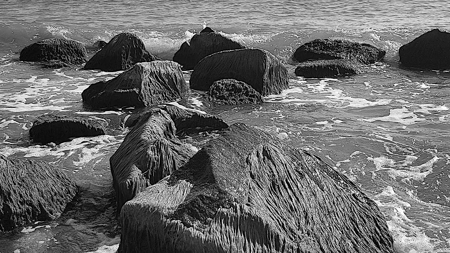 20180910_095859.jpg