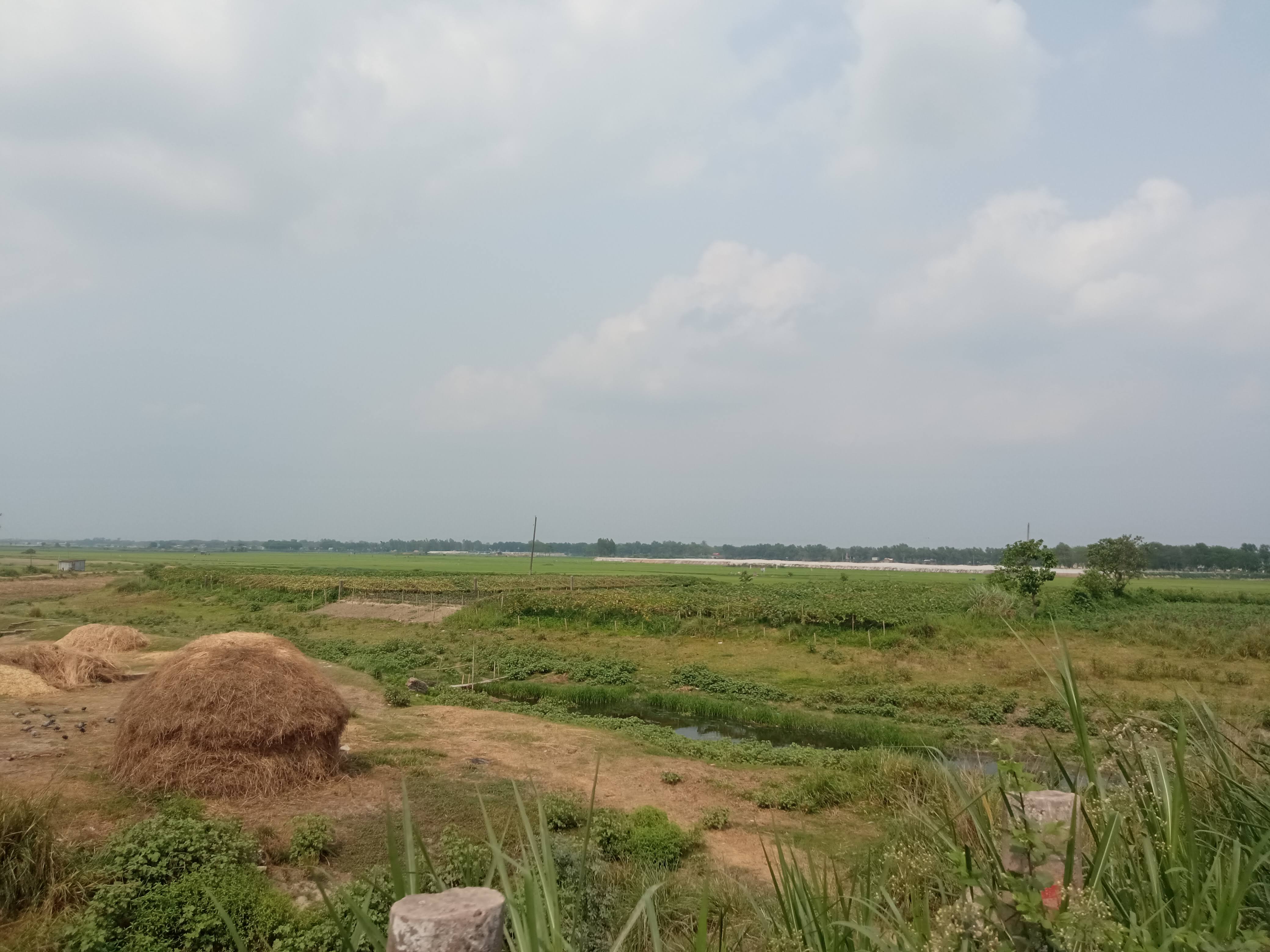 নেচার (4).jpg