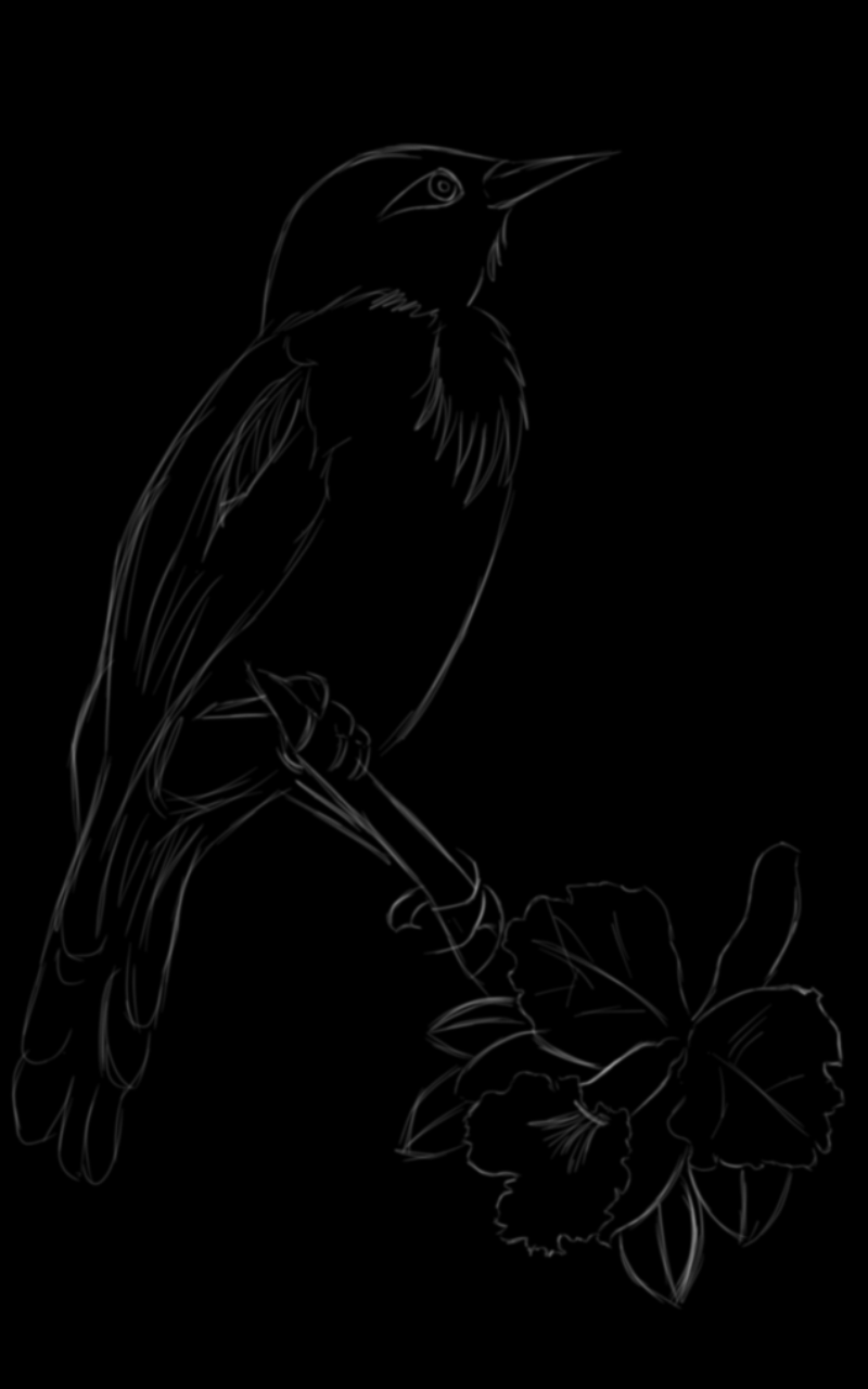 sketch1635354201215.png