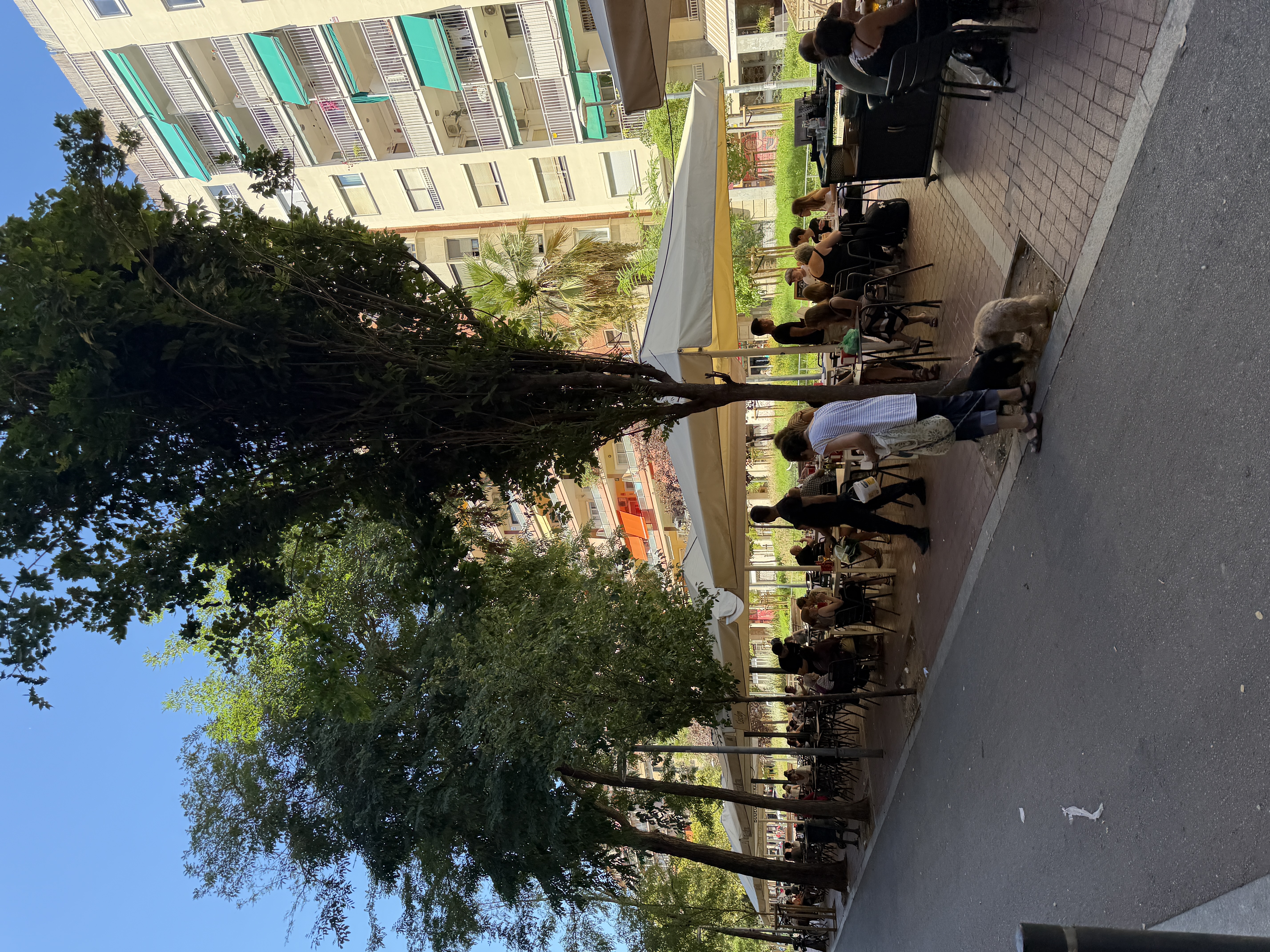 IMG_0827.jpeg