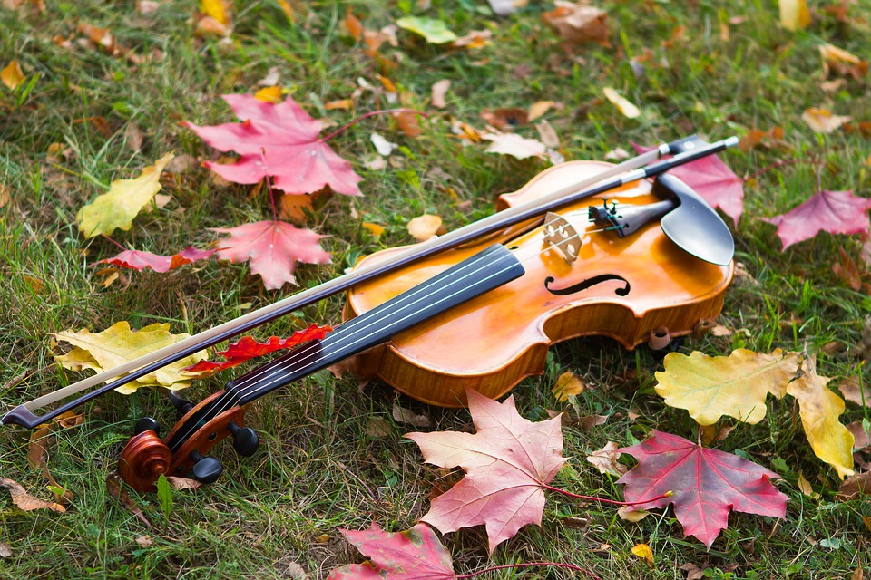 autumn-2668408_960_720.jpg