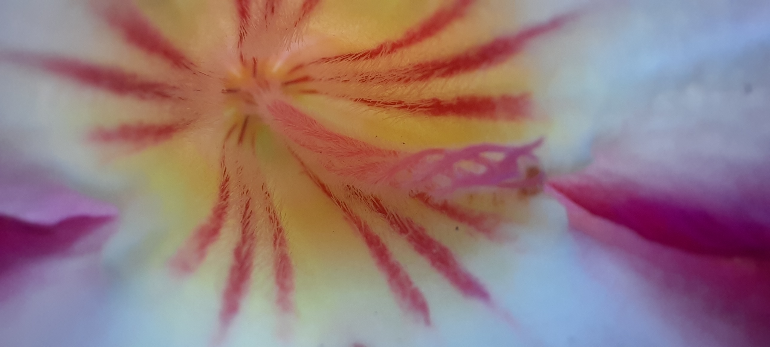 20250207_082907.jpg