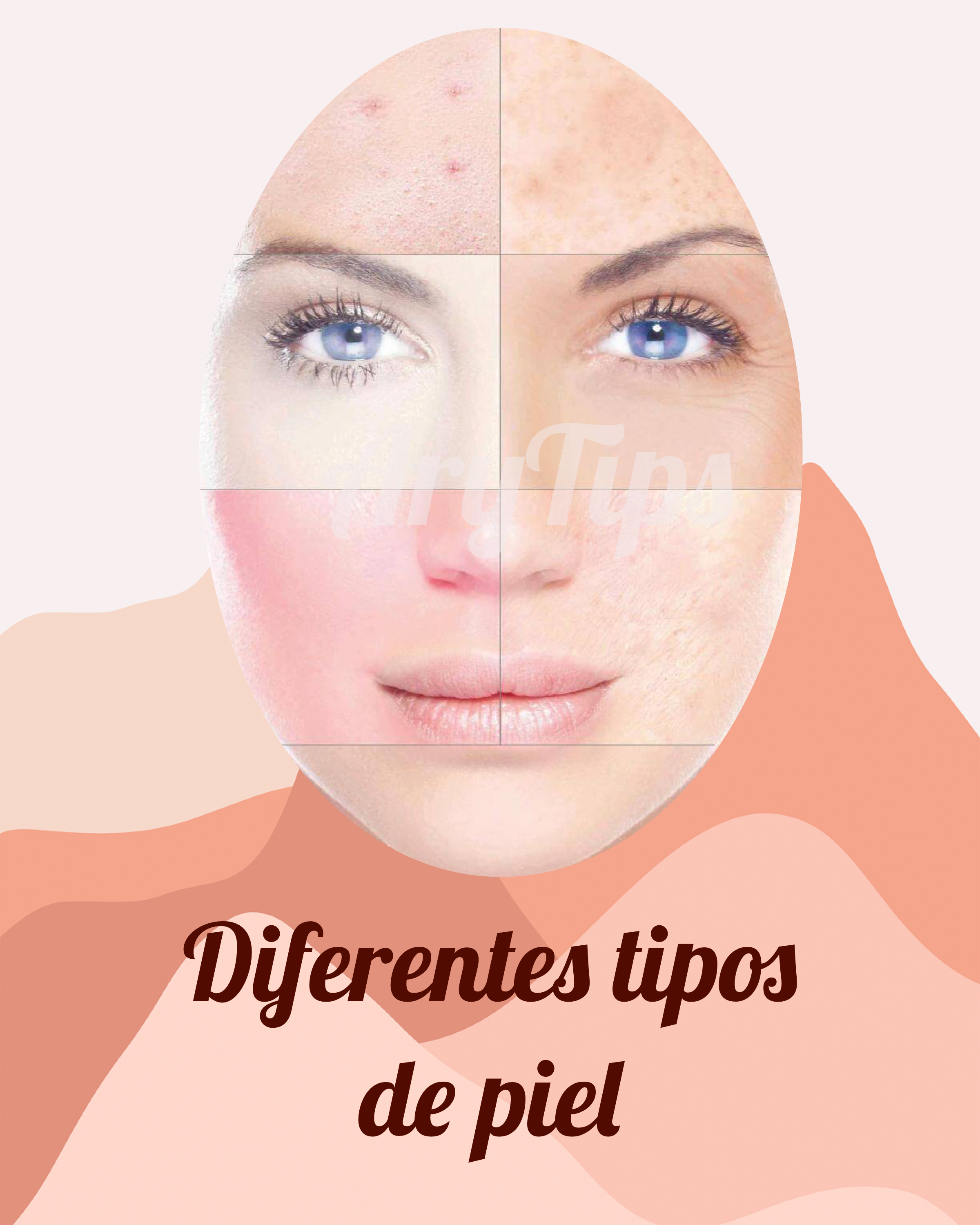 EF7C4579-3F83-446A-8F99-42A184D1720B.png