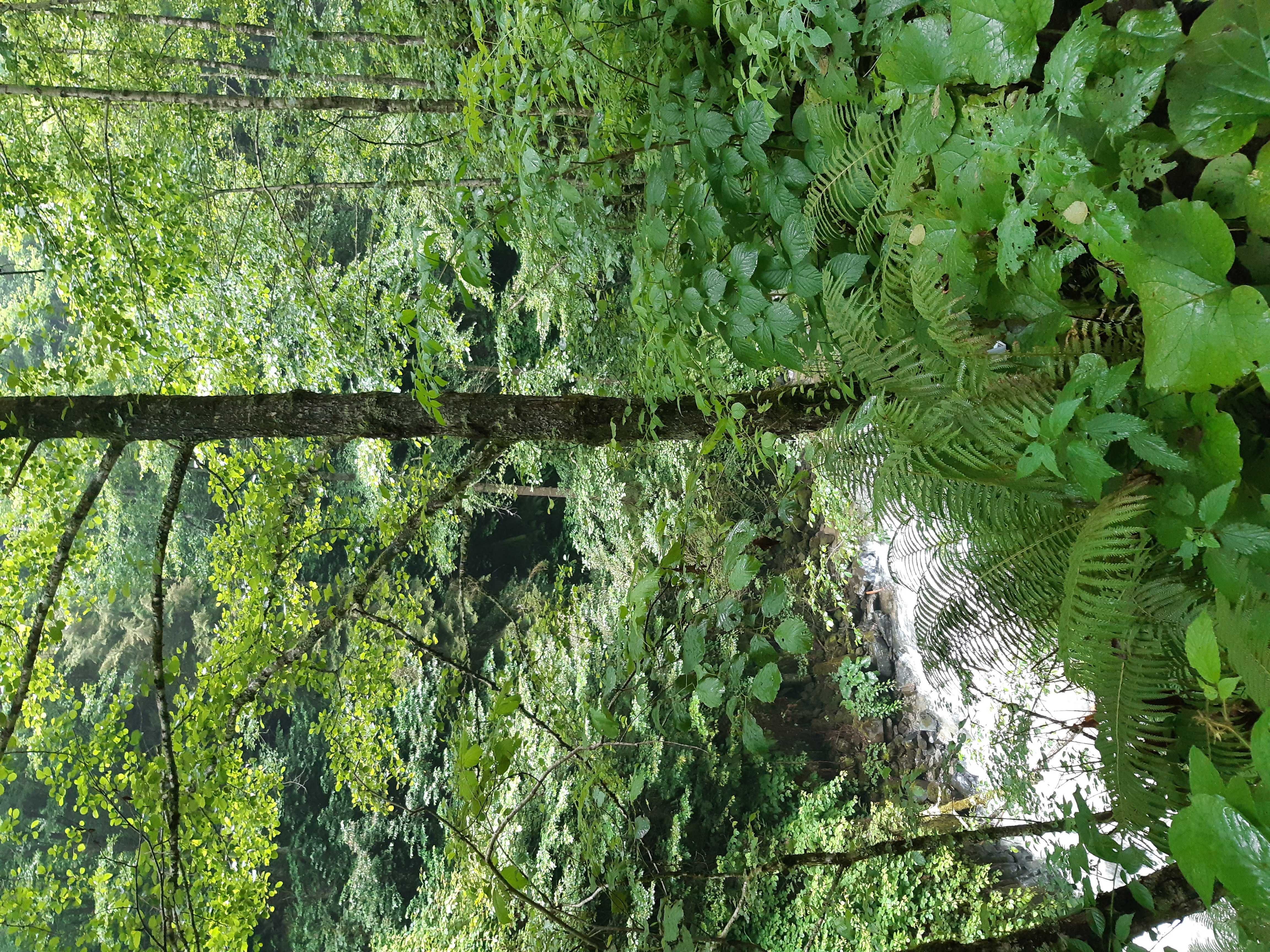 20210724_124306.jpg