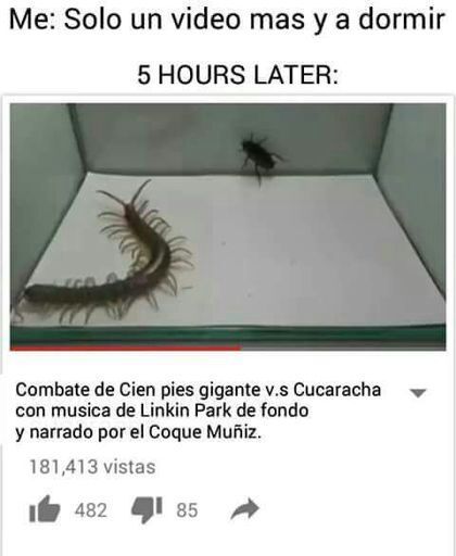 cienpies.jpg
