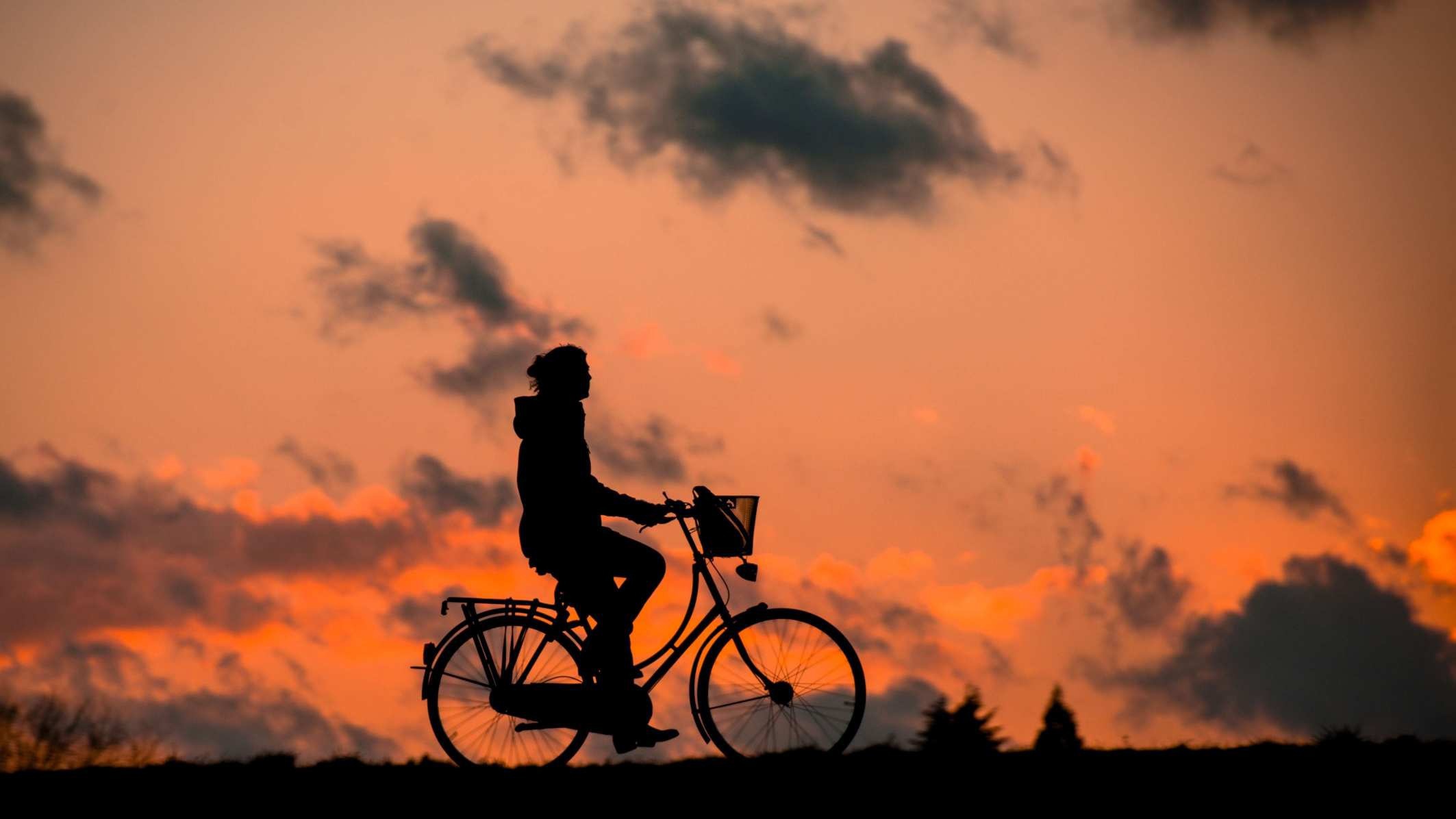 renategranade0-silhouette-683751.jpg