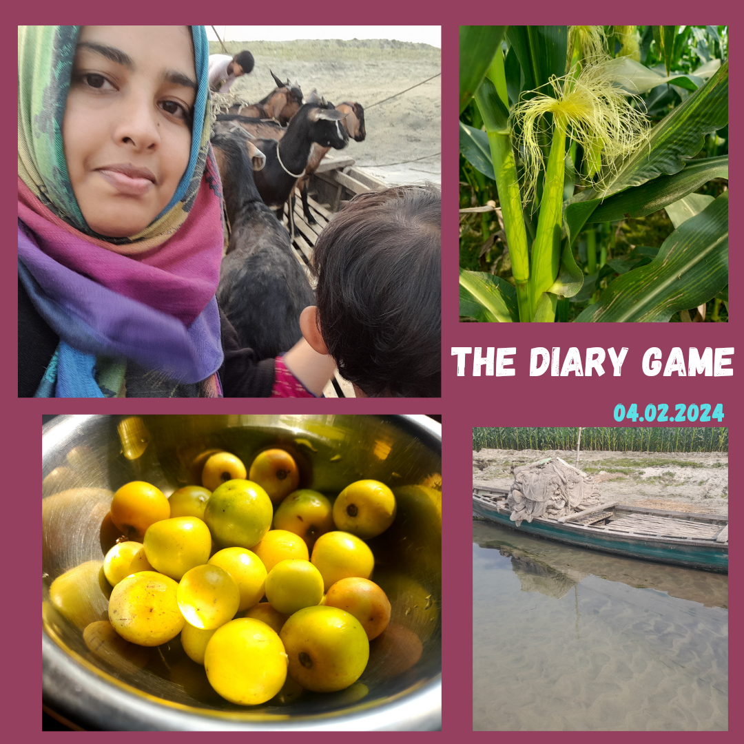 The Diary Game - 04.02.2024 : A Day at The River Bank of My Village —  Steemit