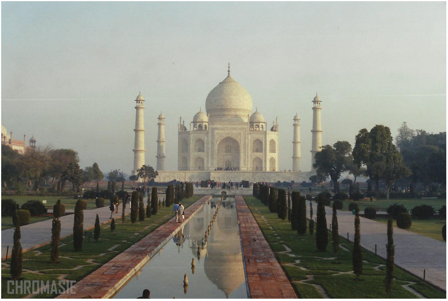 India19.png