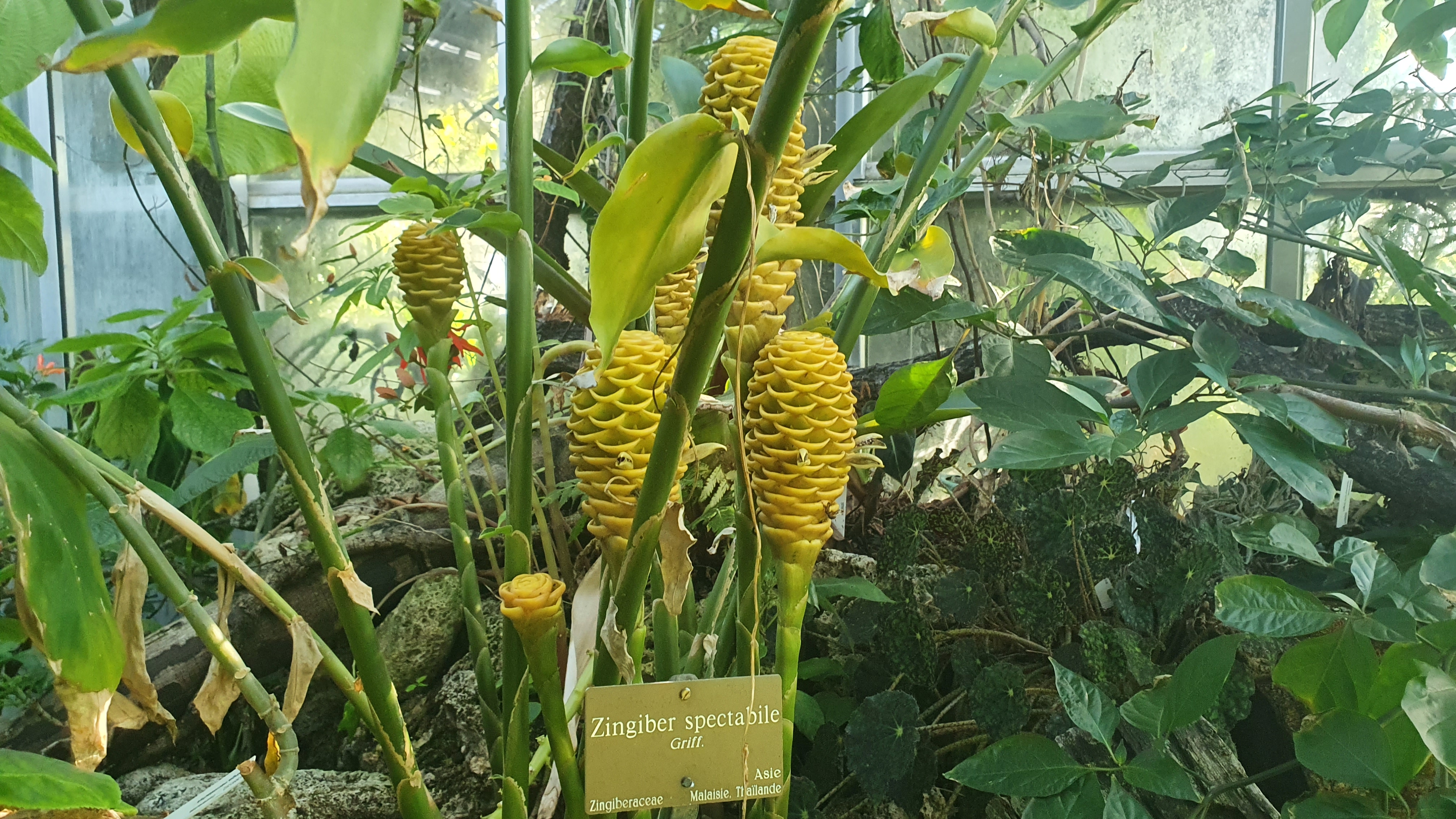 20220912_165834.jpg