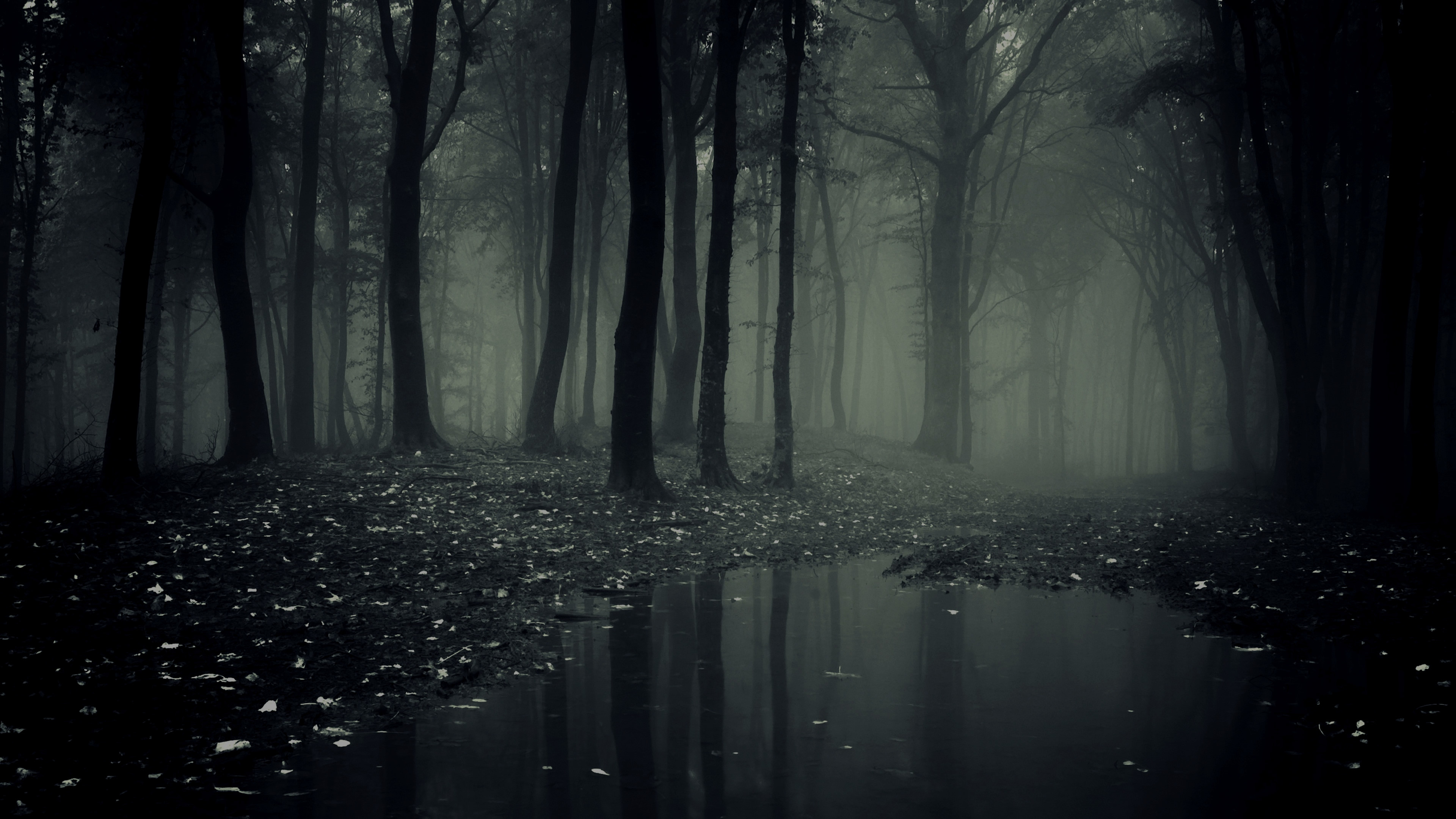 A mocsár - Page 4 Full-Hd-Of-Scary-Forest-Wallpaper-Creepy-Images-Mobile