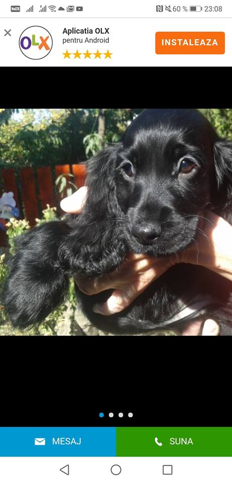 44716240_1977949462266461_9190853108584939520_n (1).jpg