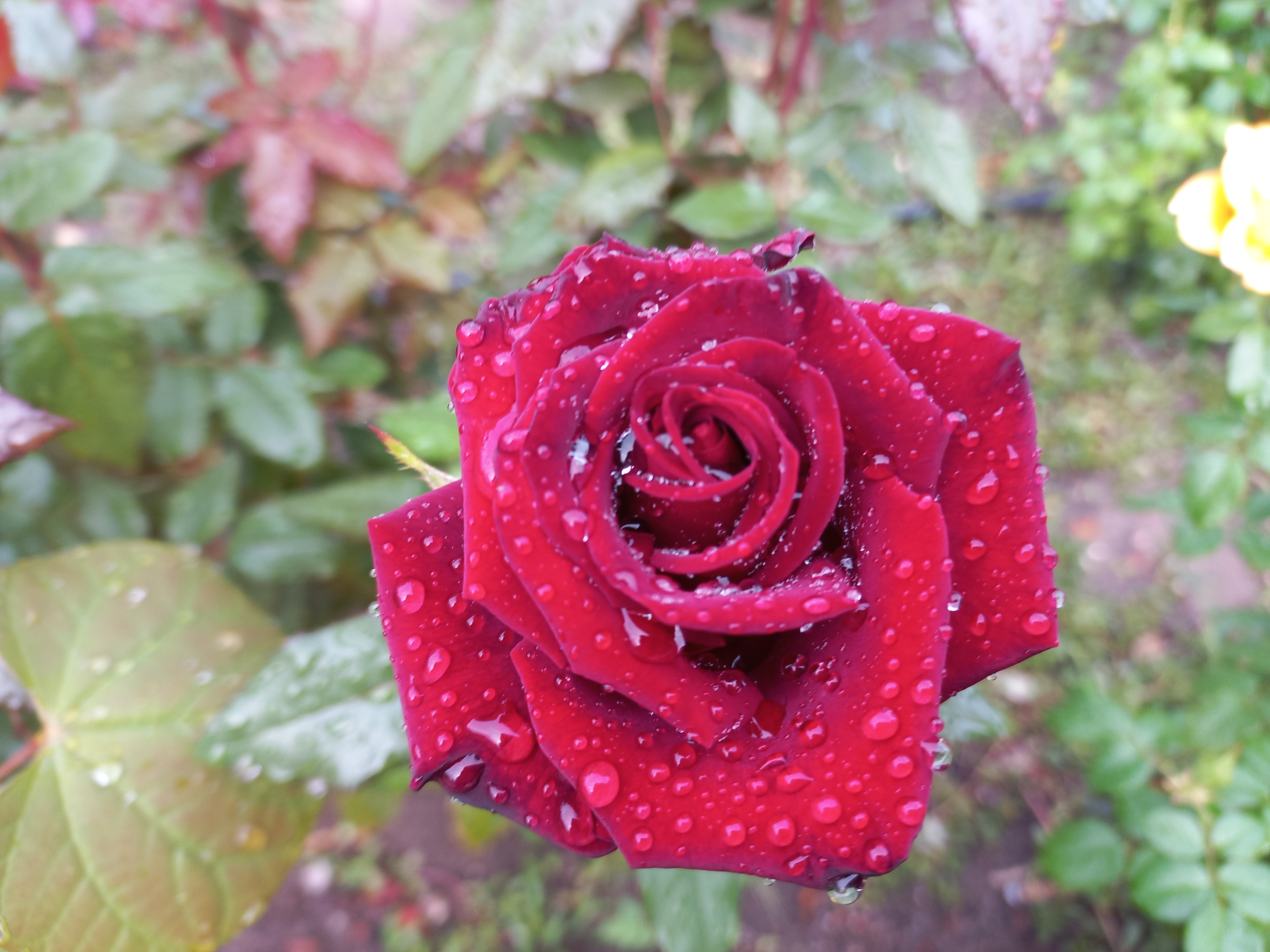 20210925_154038.jpg