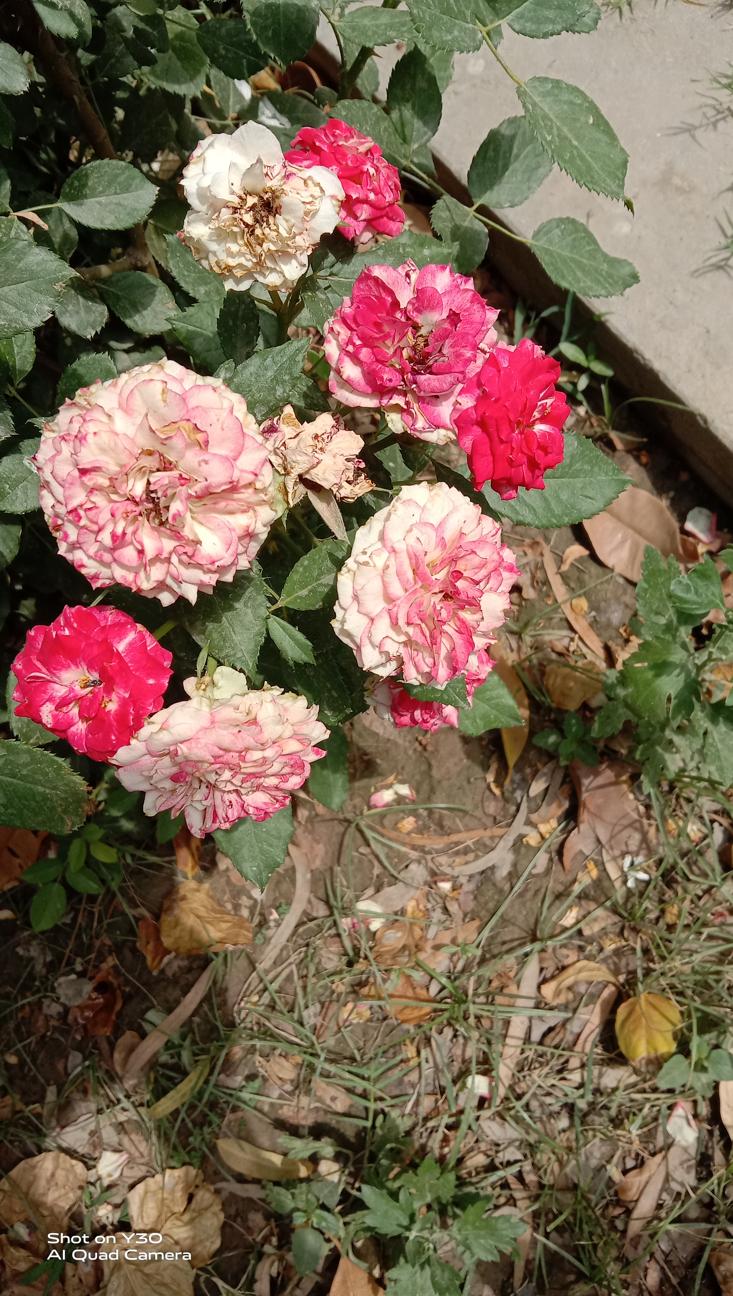 IMG_20210415_110923.jpg