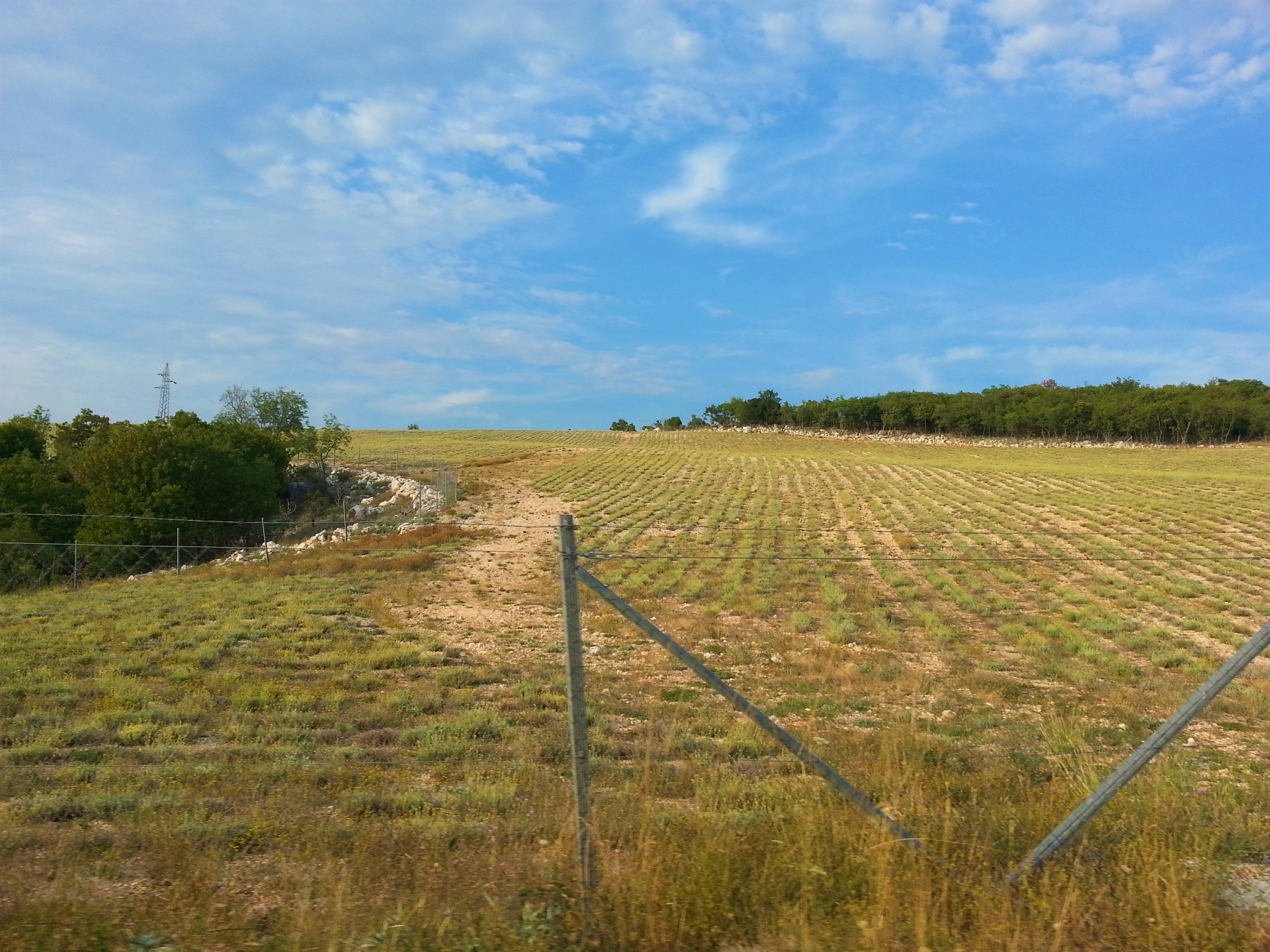 20180729_184830 (2).jpg