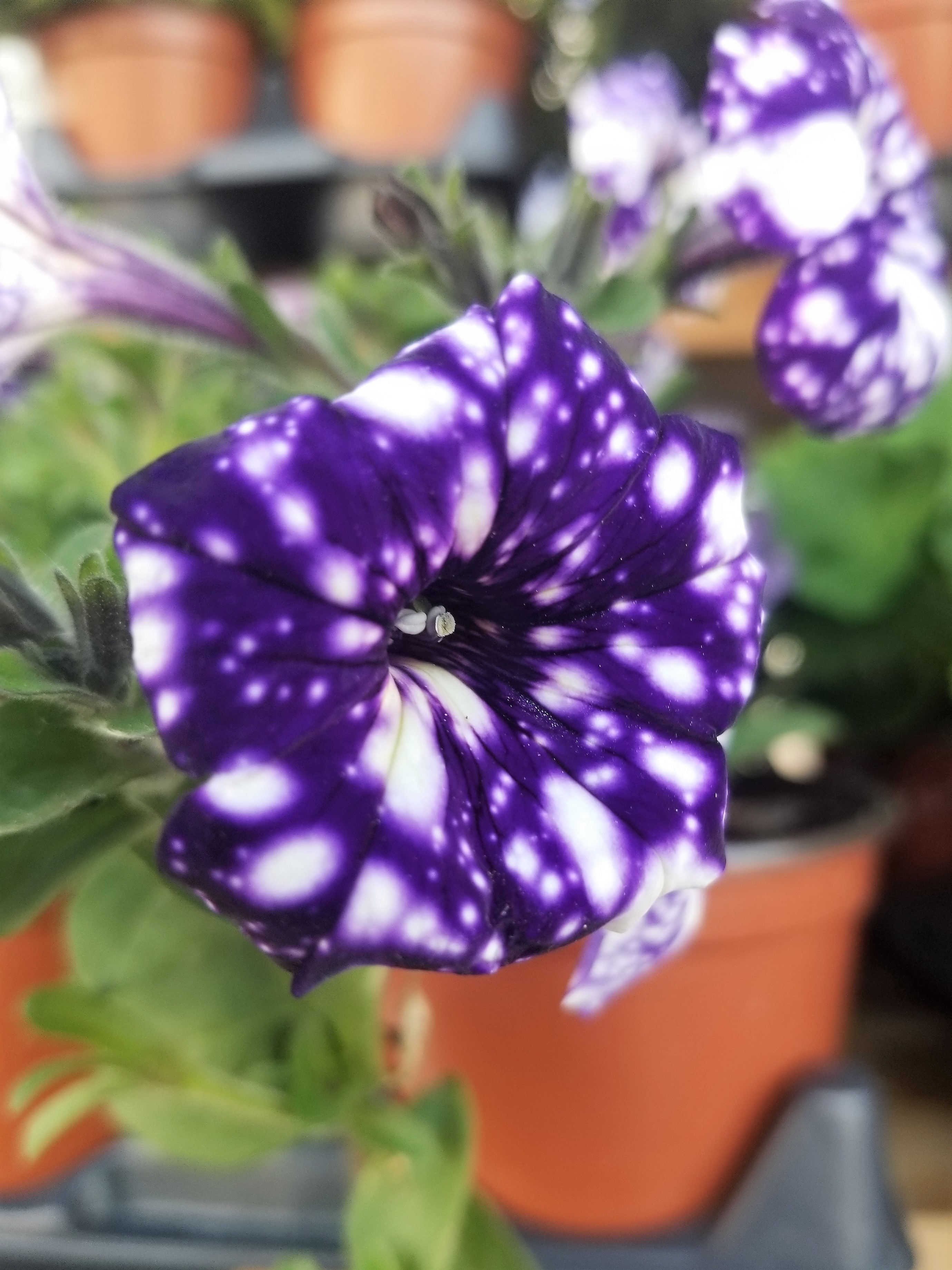 20190611_160857.jpg