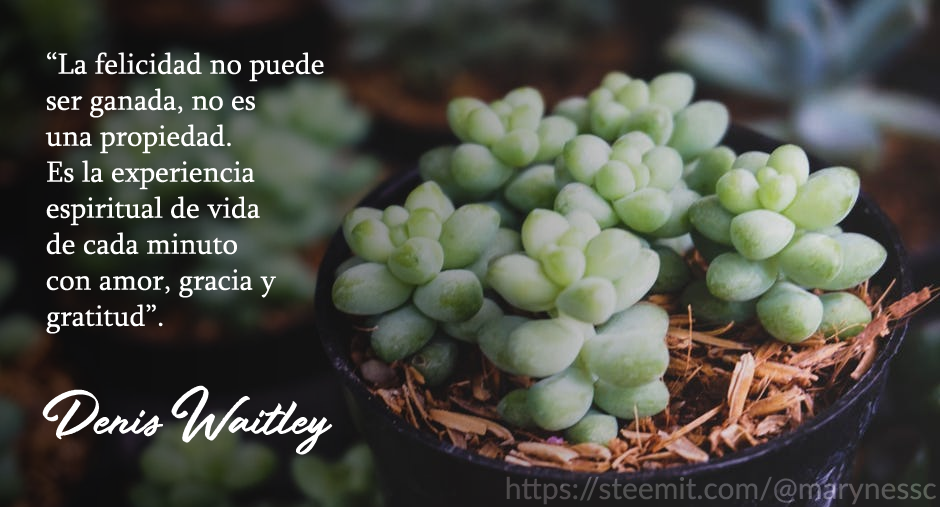 frases post regreso.png