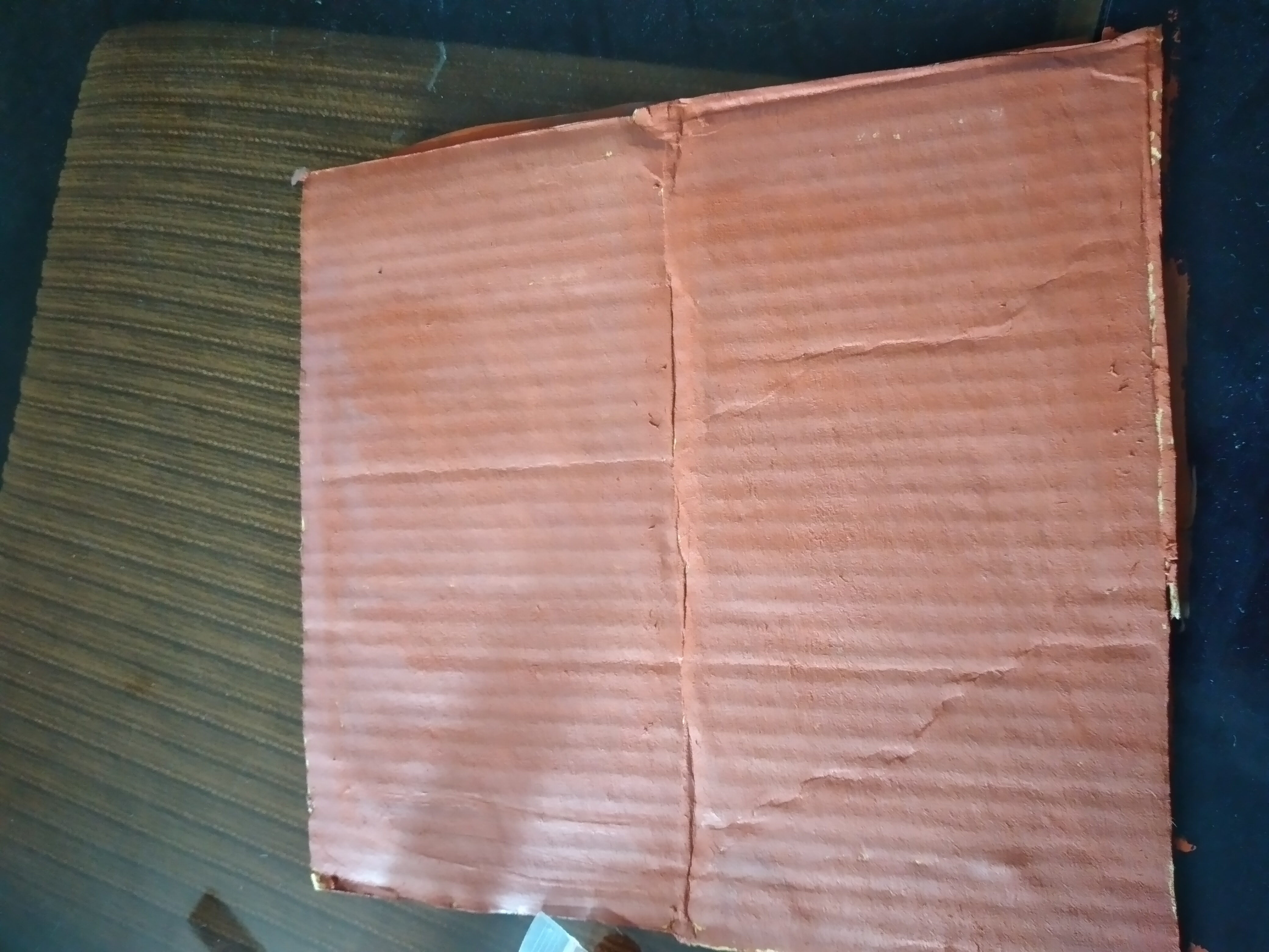 20250210_094355.jpg