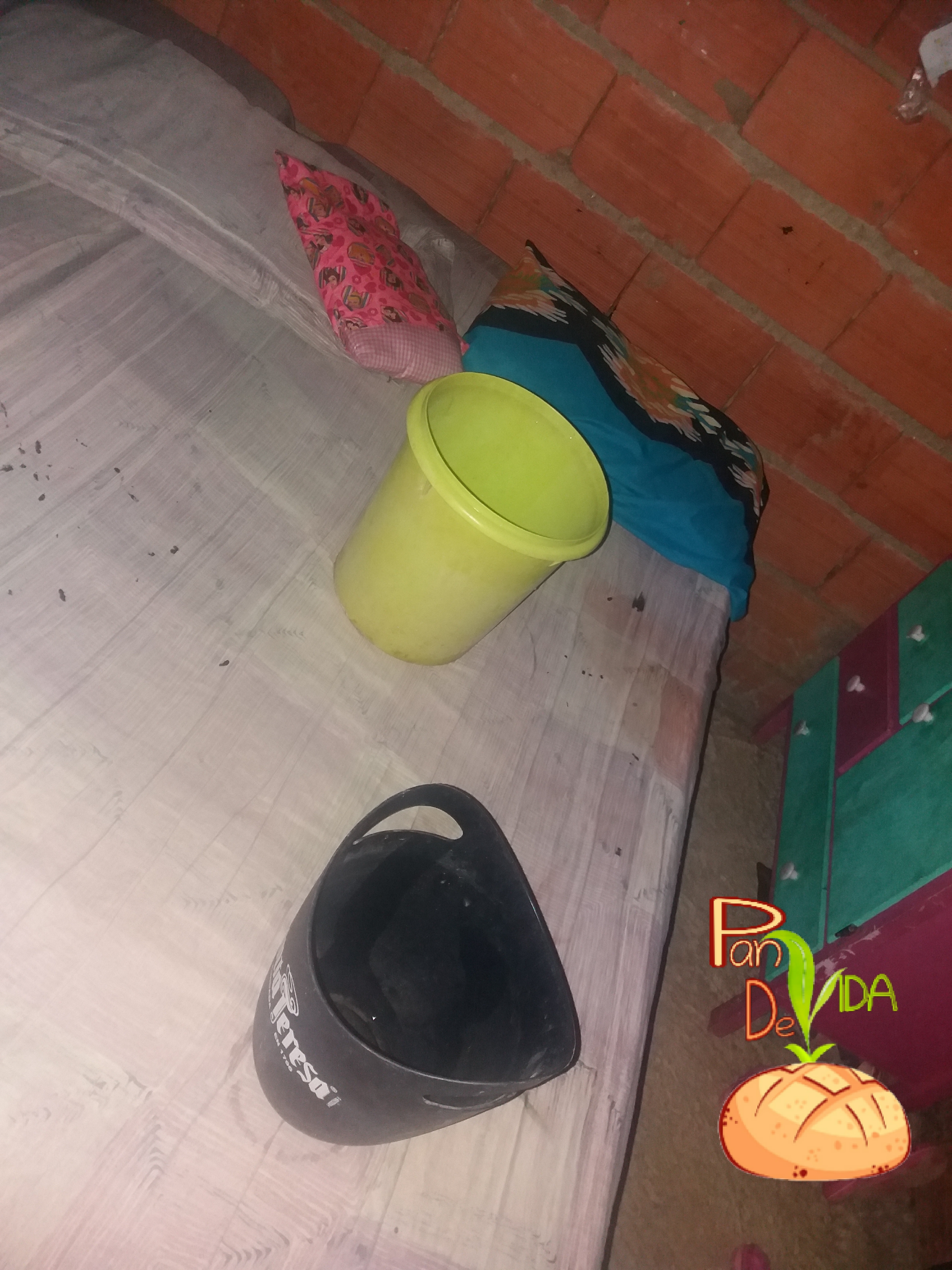 20210517_201221.jpg