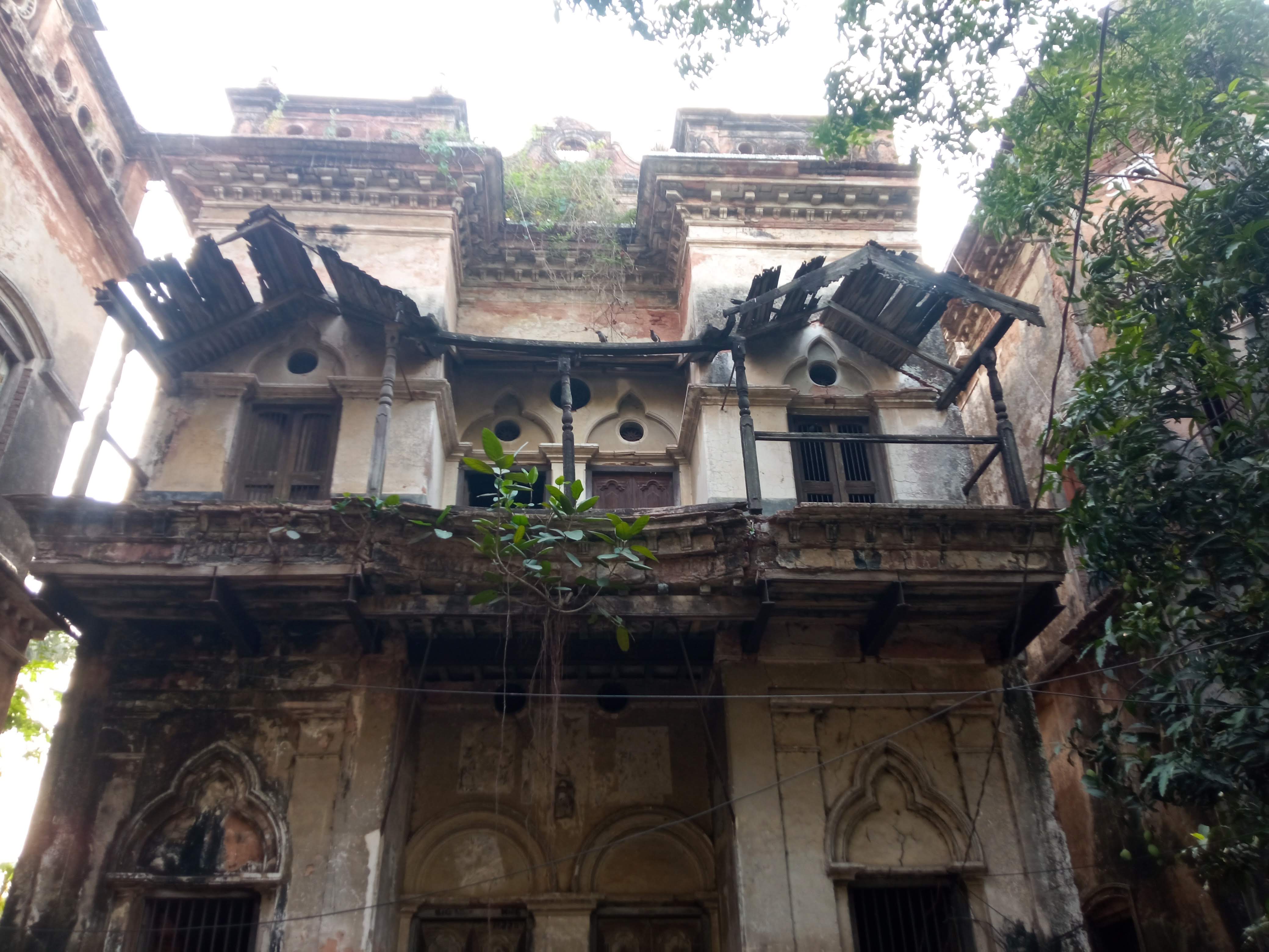 birulia (6).jpg