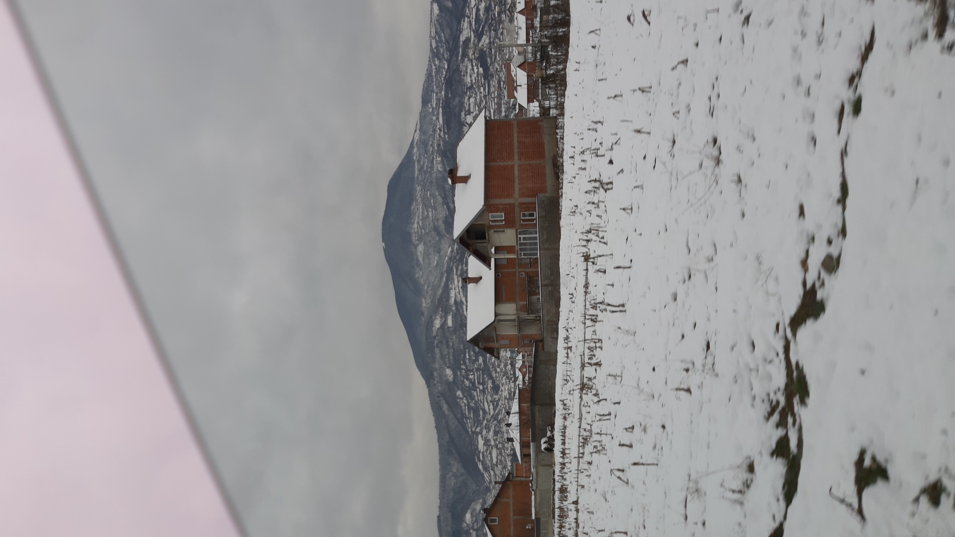IMG-20210115-WA0003.jpeg