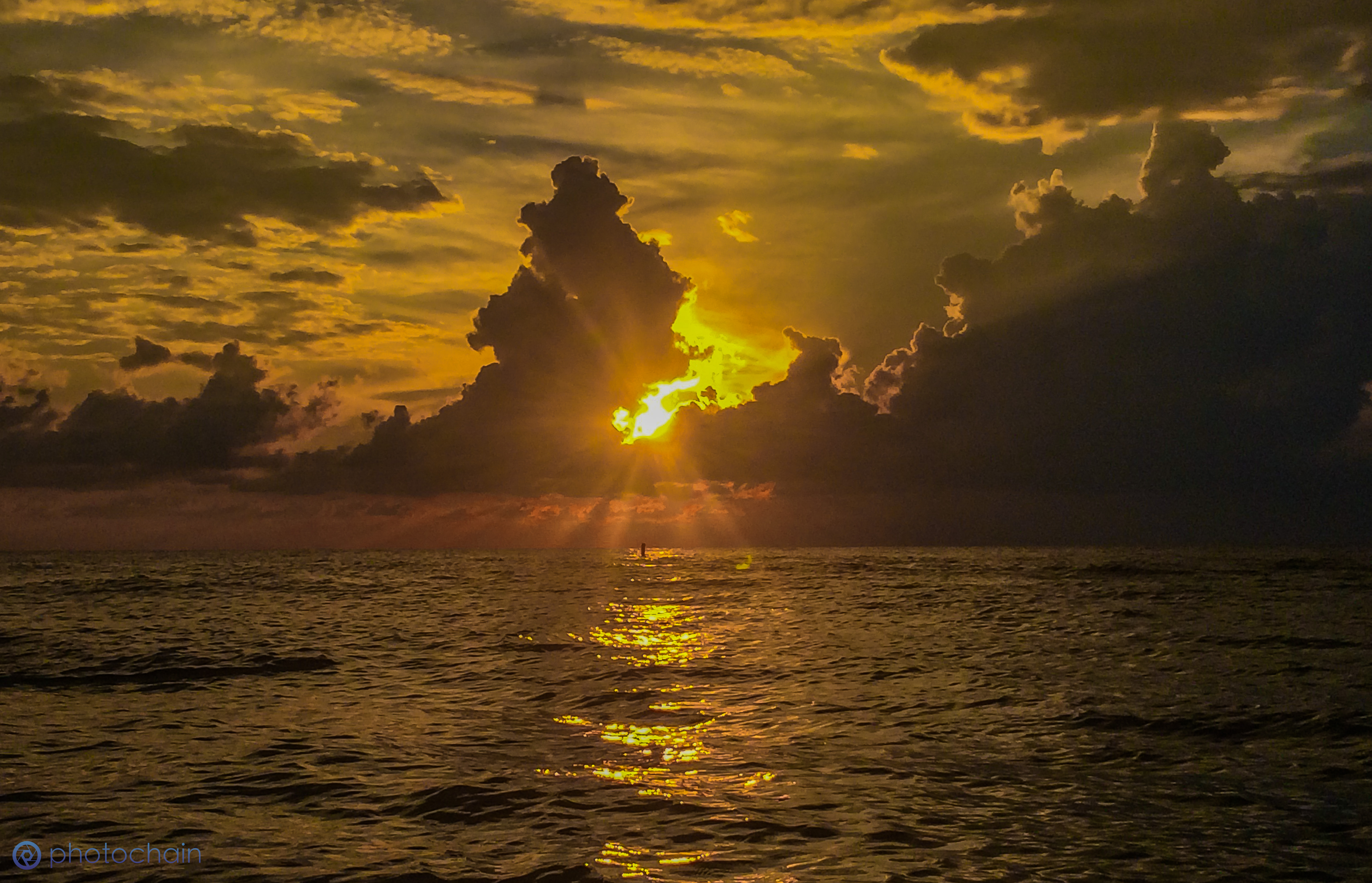 sun.jpg