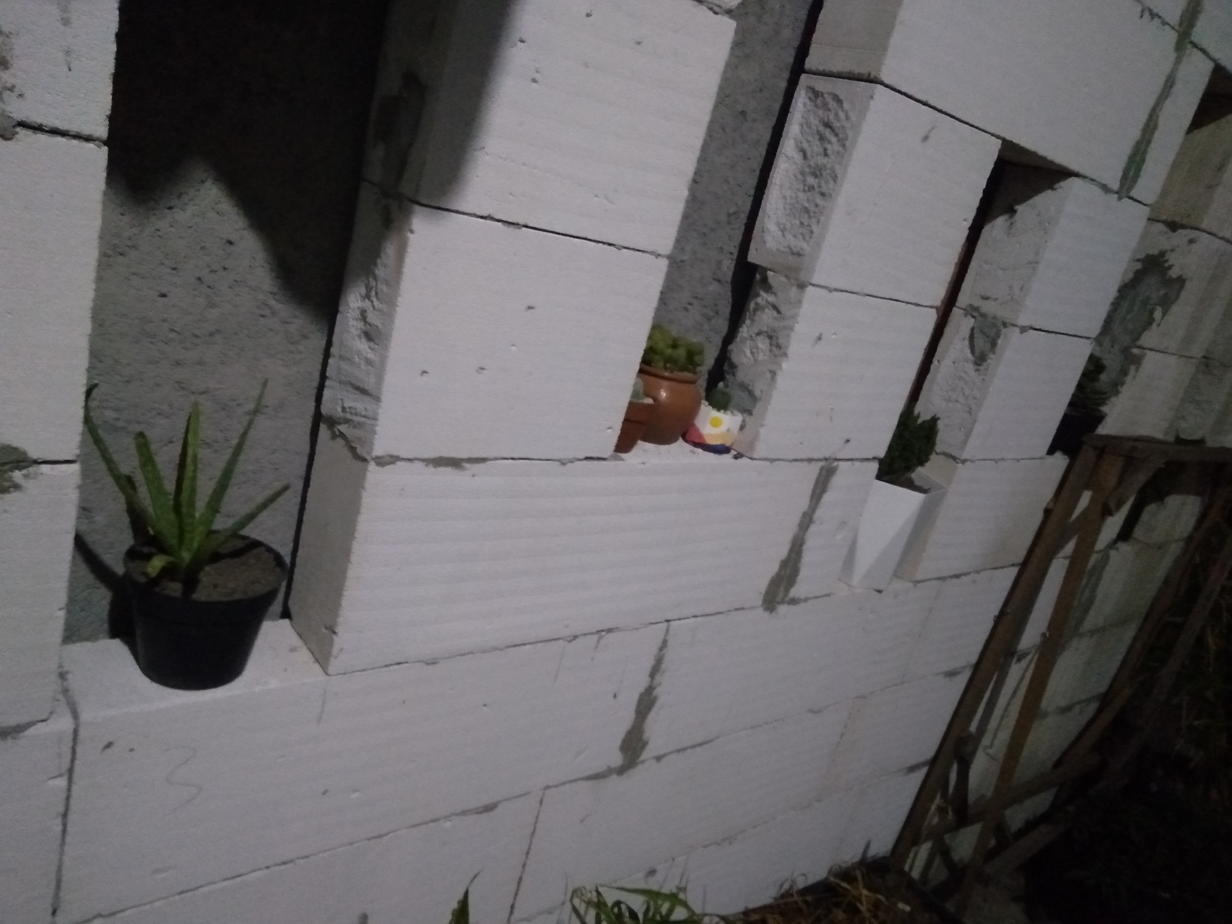 IMG20220702180244.jpg
