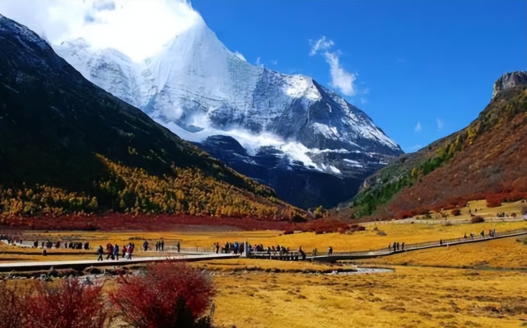 2345_image_file_copy_12_看图王.jpg