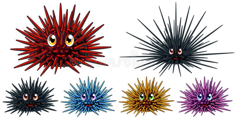 urchin.jpg