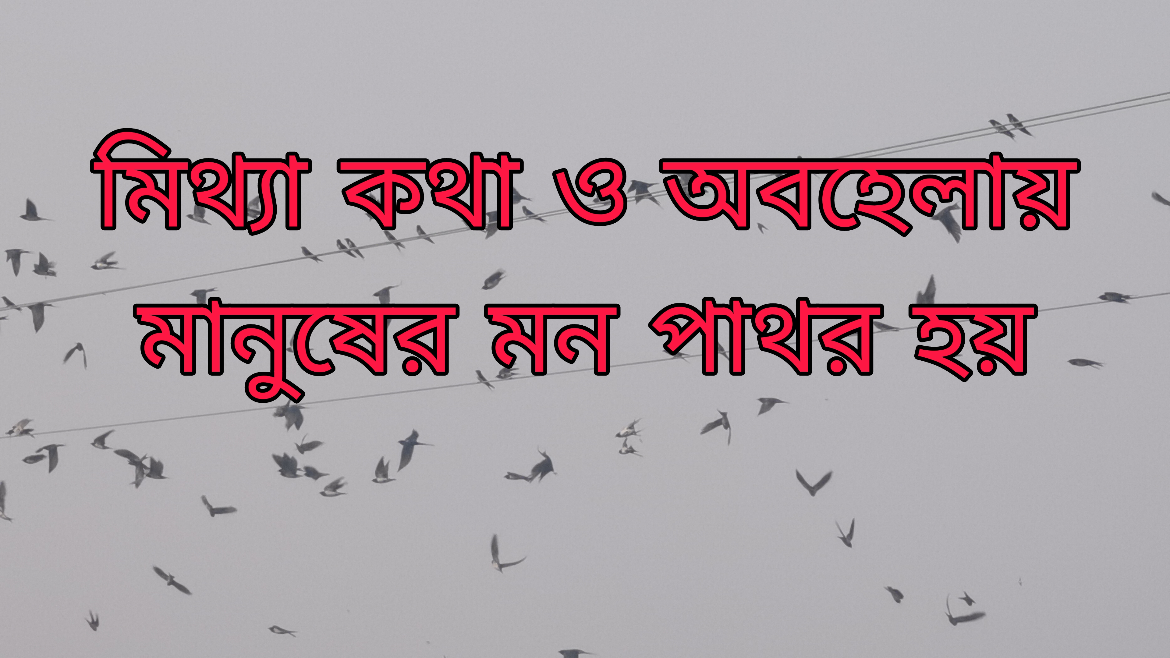 Picsart_25-02-12_21-49-21-113.jpg