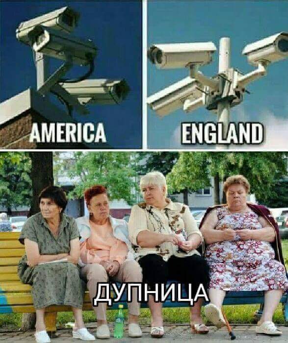 FB_IMG_1531985286816.jpg