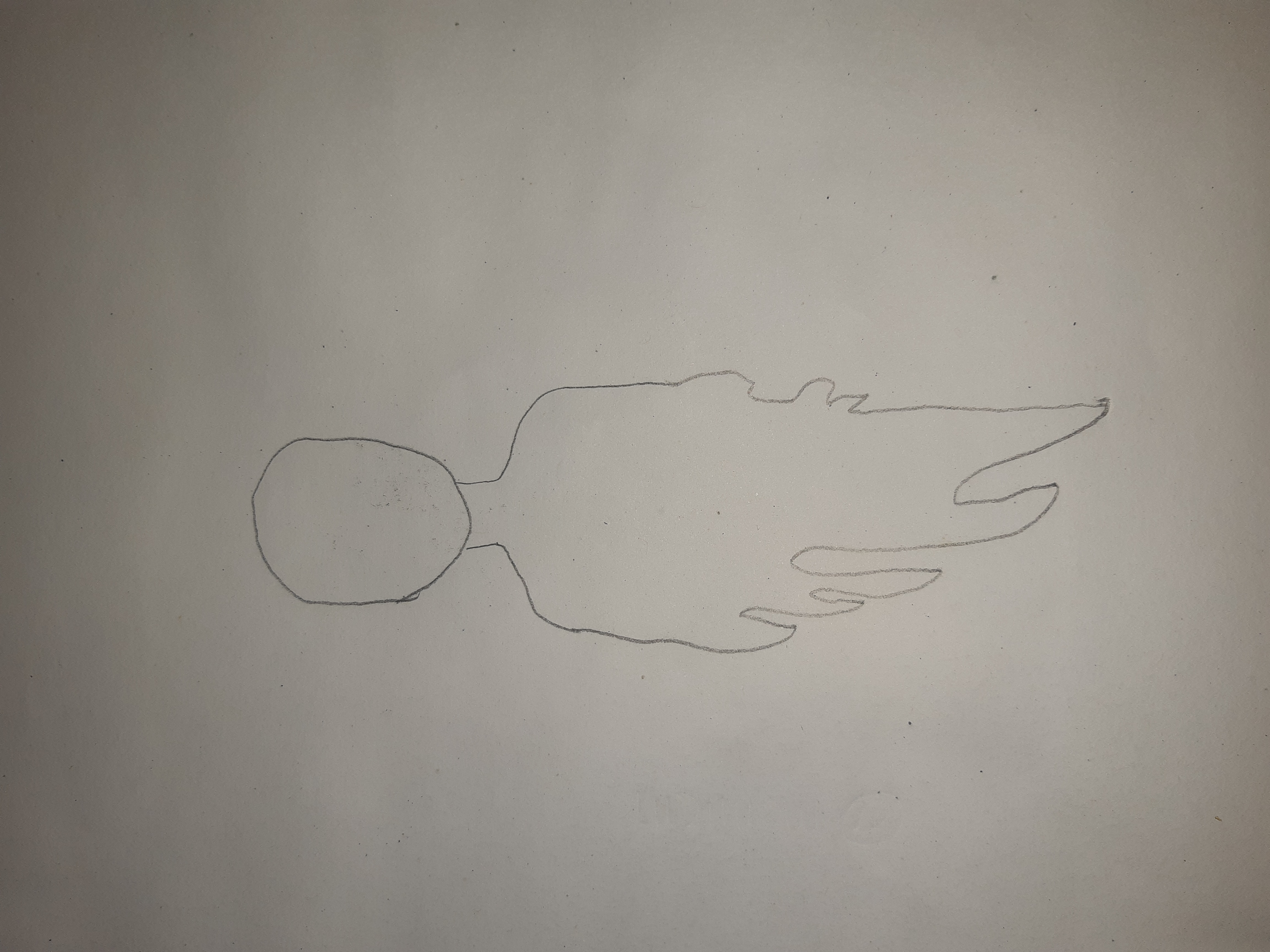 20230127_225559.jpg