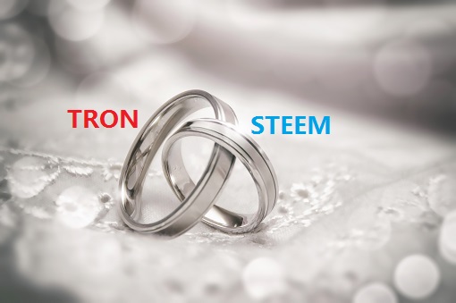 tronsteem.jpg