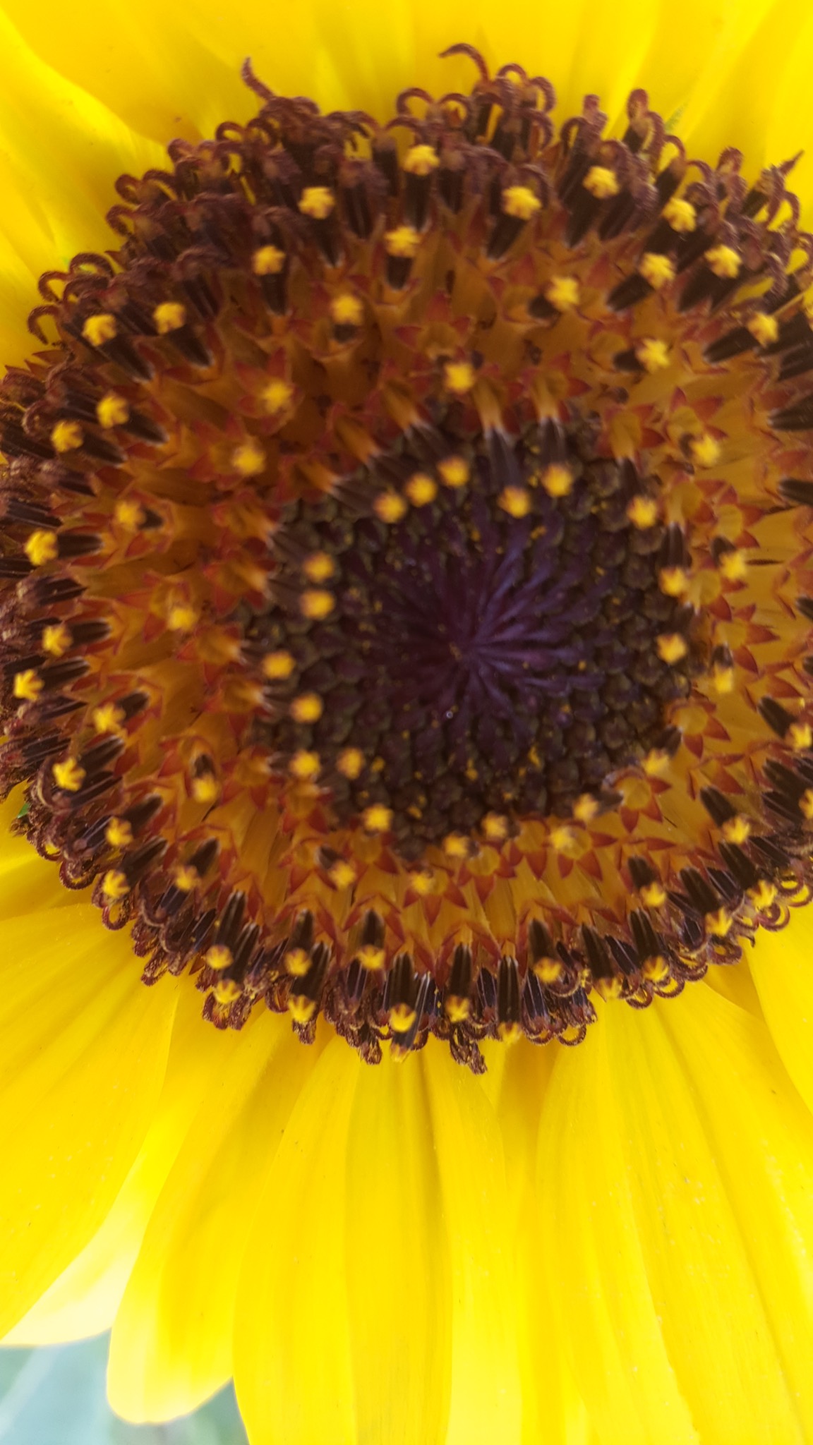 740AA445-C673-496D-B81B-1EC4C7381744.jpeg