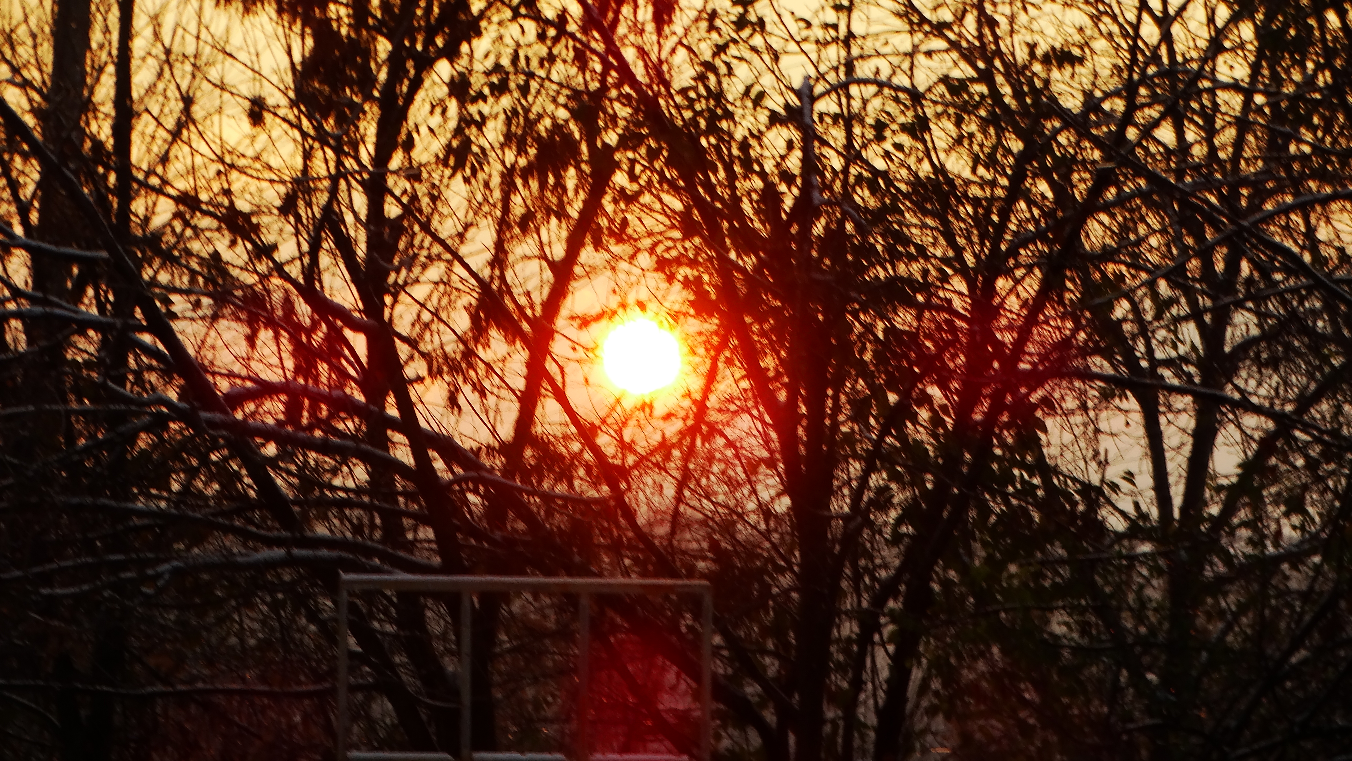 DSC03525.JPG