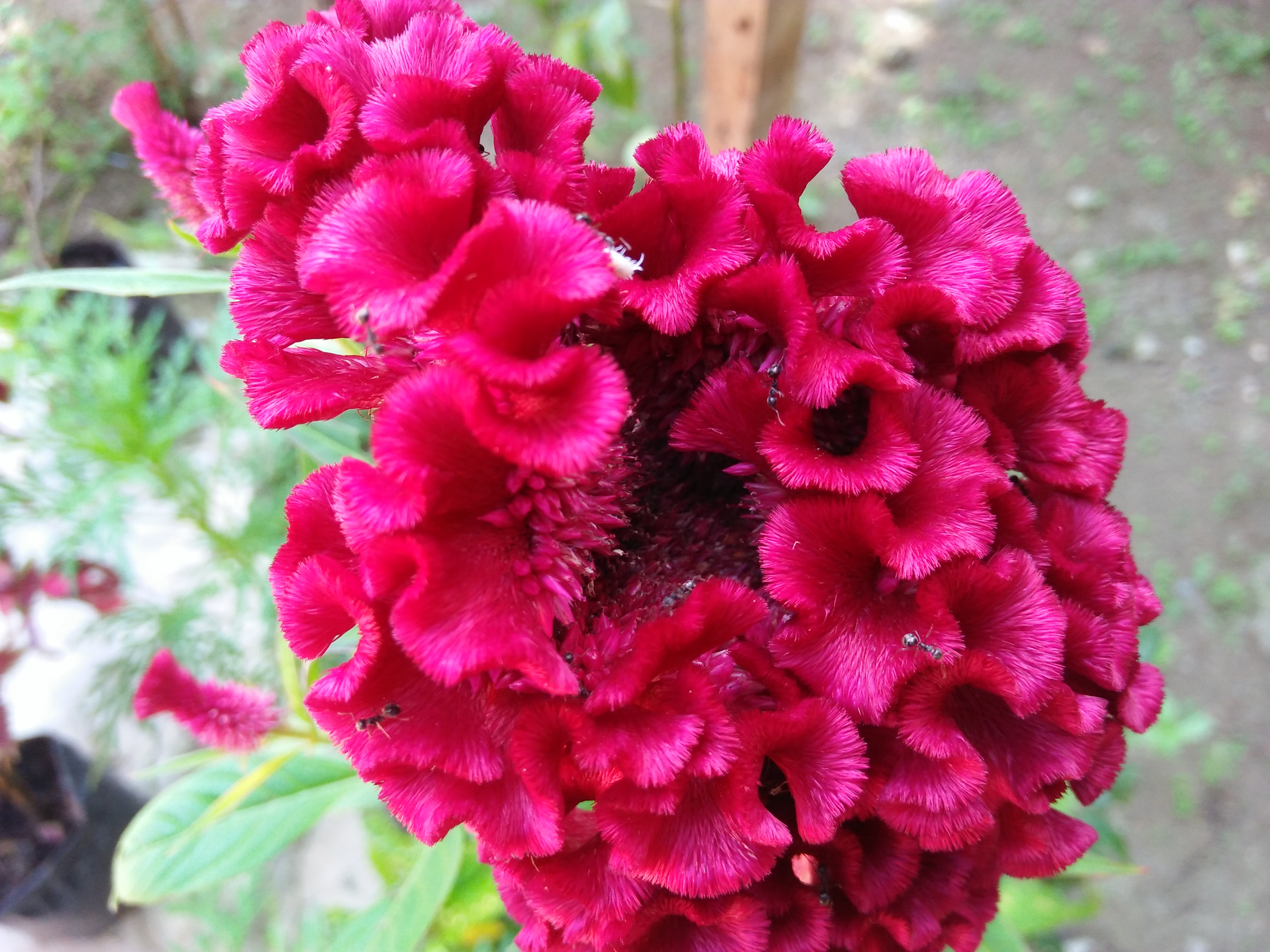 IMG20210627143934.jpg