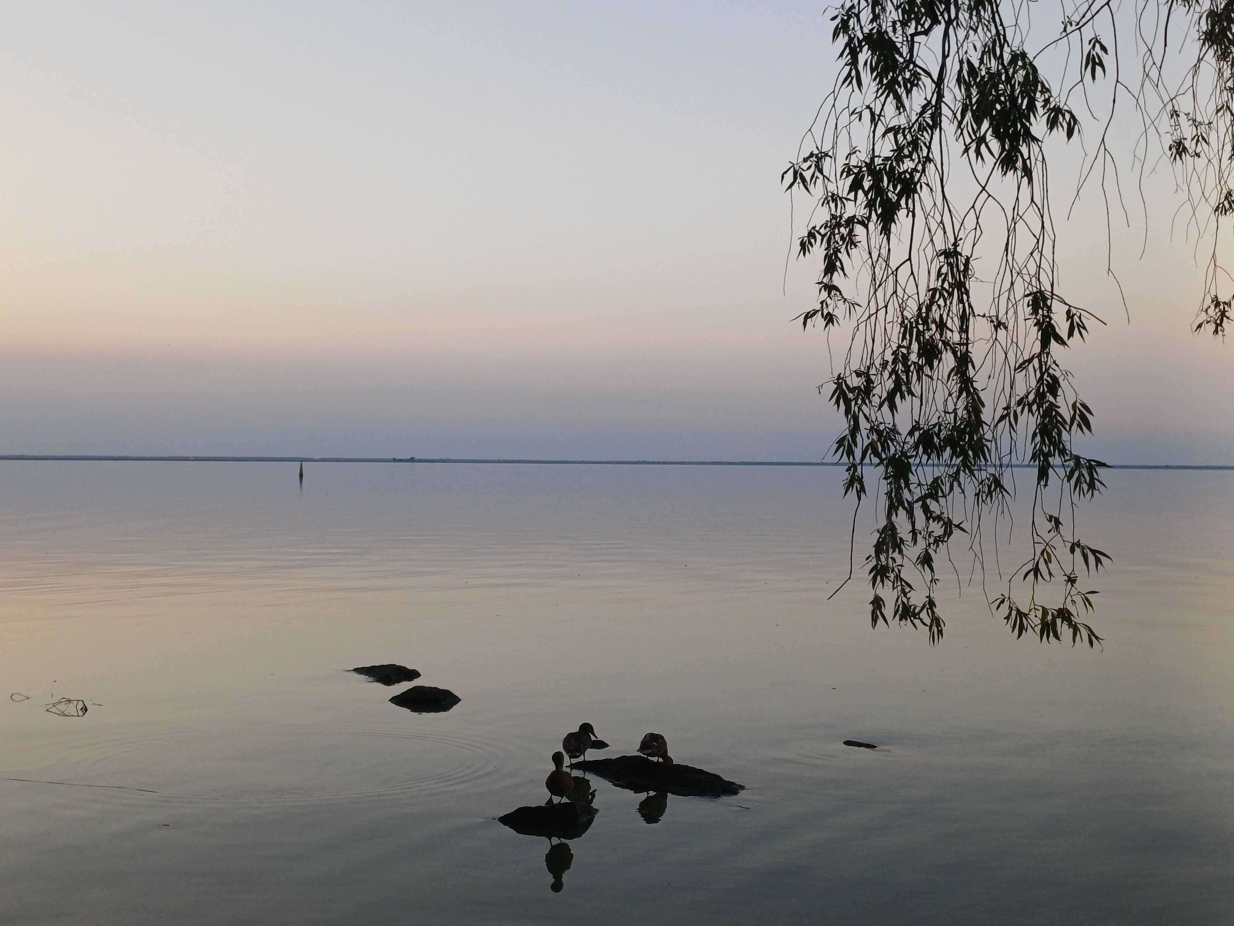 20260803_202053.jpg