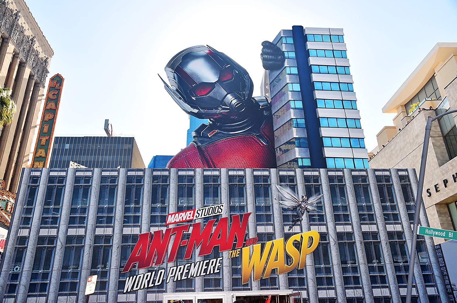 Ant-Man and the Wasp Full Movie (2018) Watch™ Online & Free.jpg